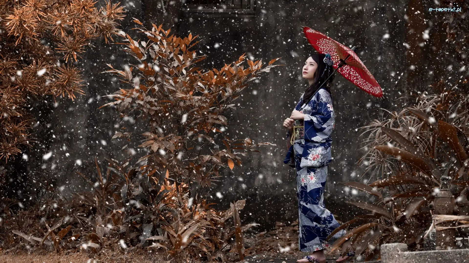 Rośliny, Kimono, Parasol, Śnieg, Kobieta, Azjatka