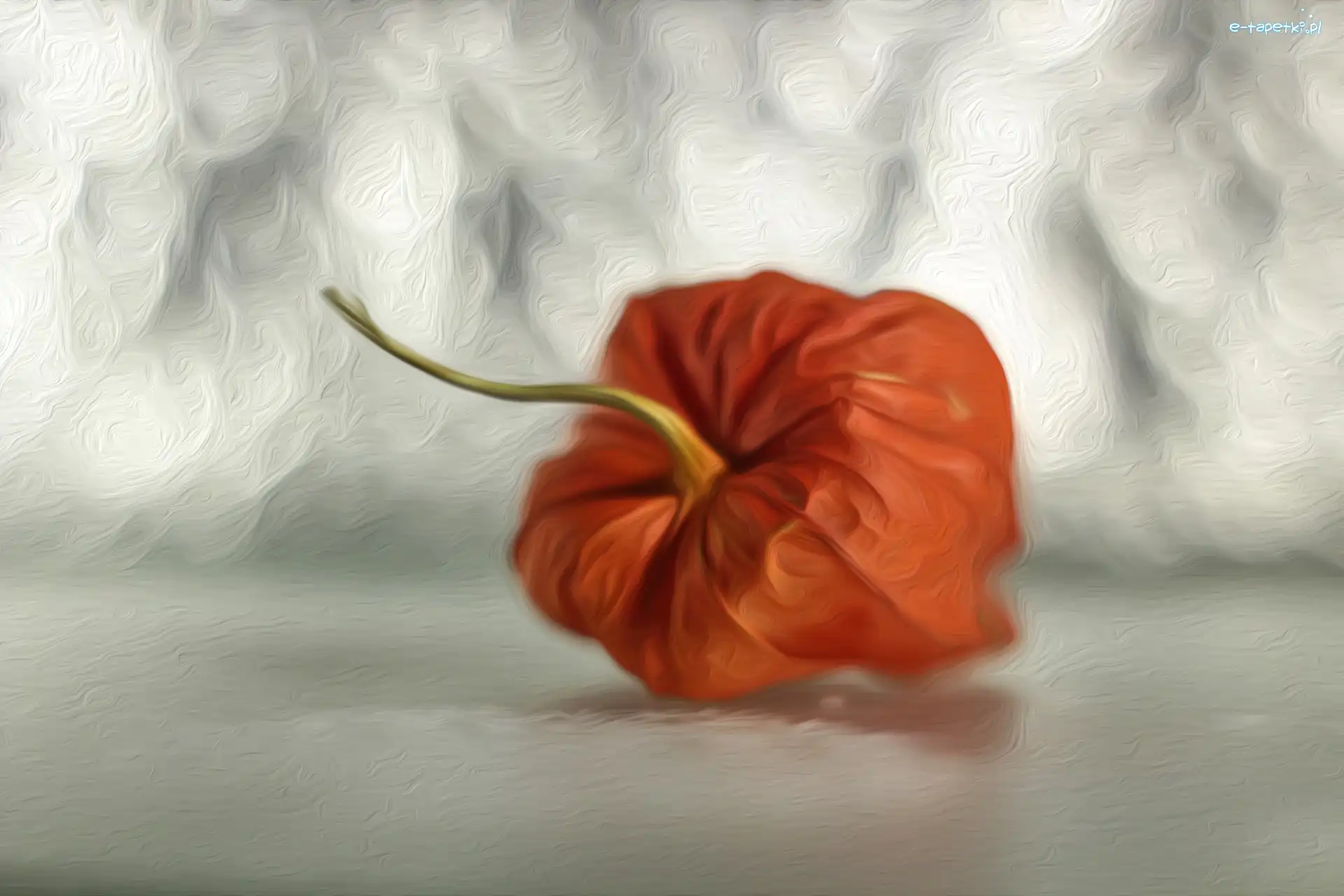 Grafika, Miechunka
