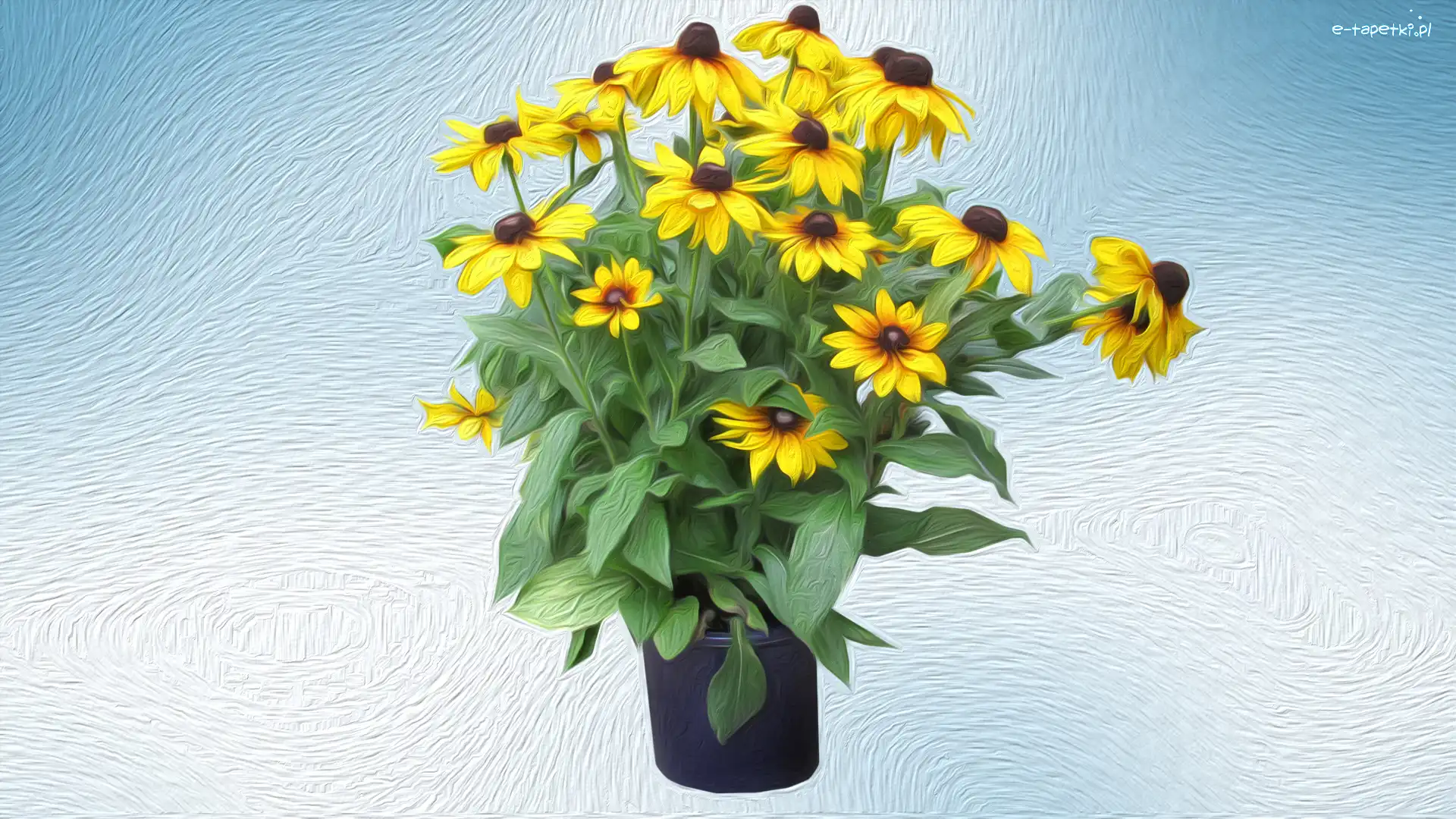 Bukiet, Rudbekia, Kwiaty