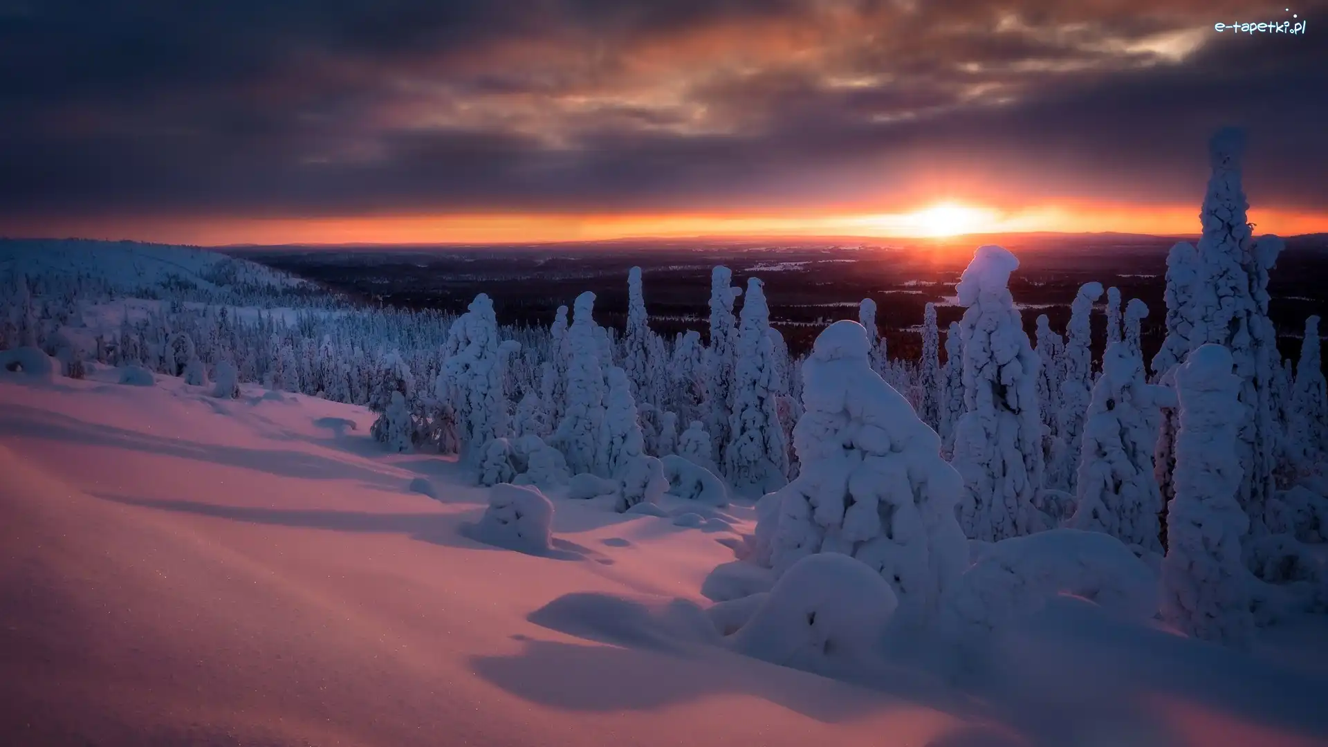 Wzgórze Sallatunturit, Zima, Finlandia, Zachód słońca, Drzewa