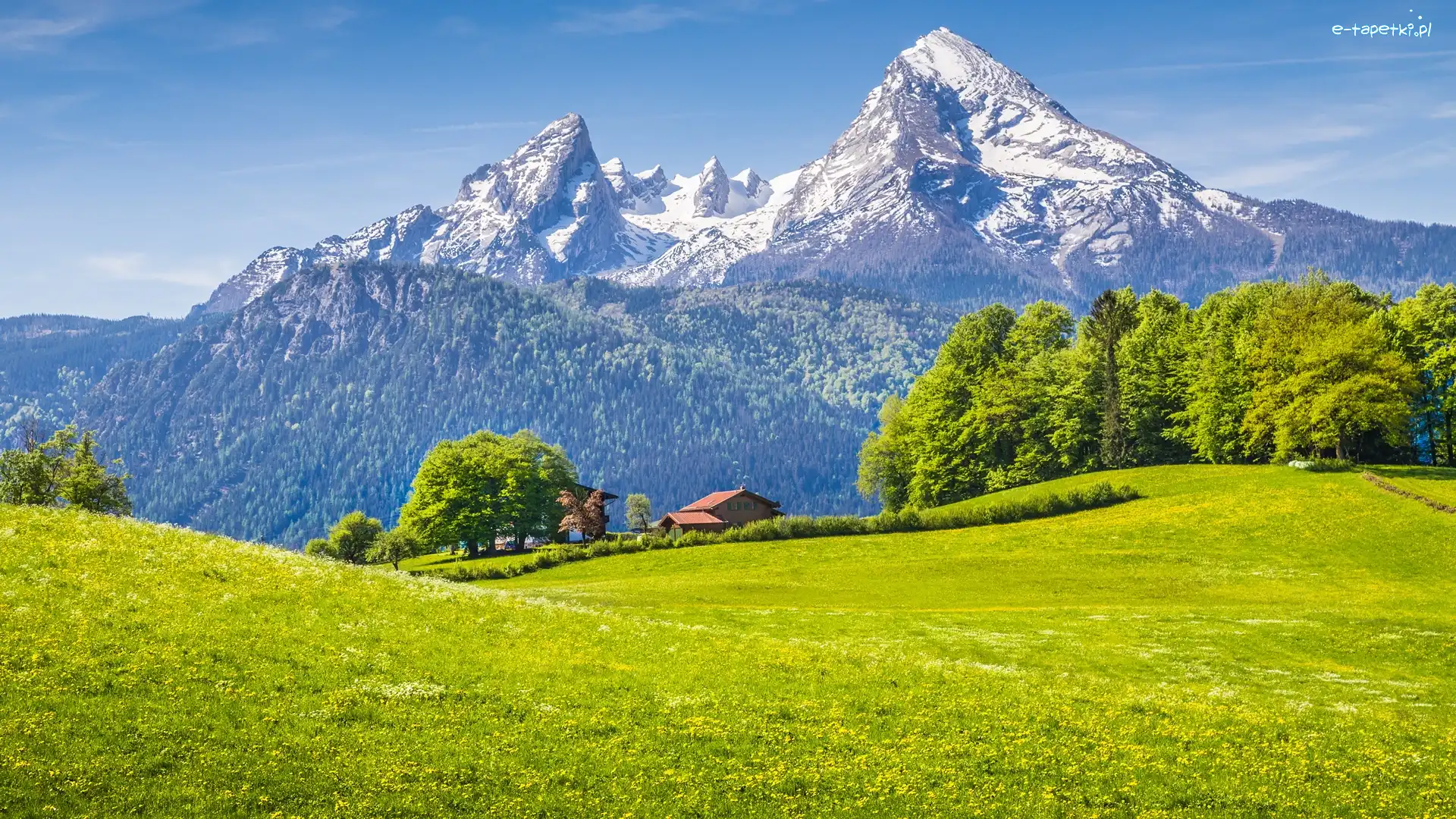 Dom, Bawaria, Niemcy, Góry Alpy, Park Narodowy Berchtesgaden, Drzewa, Las