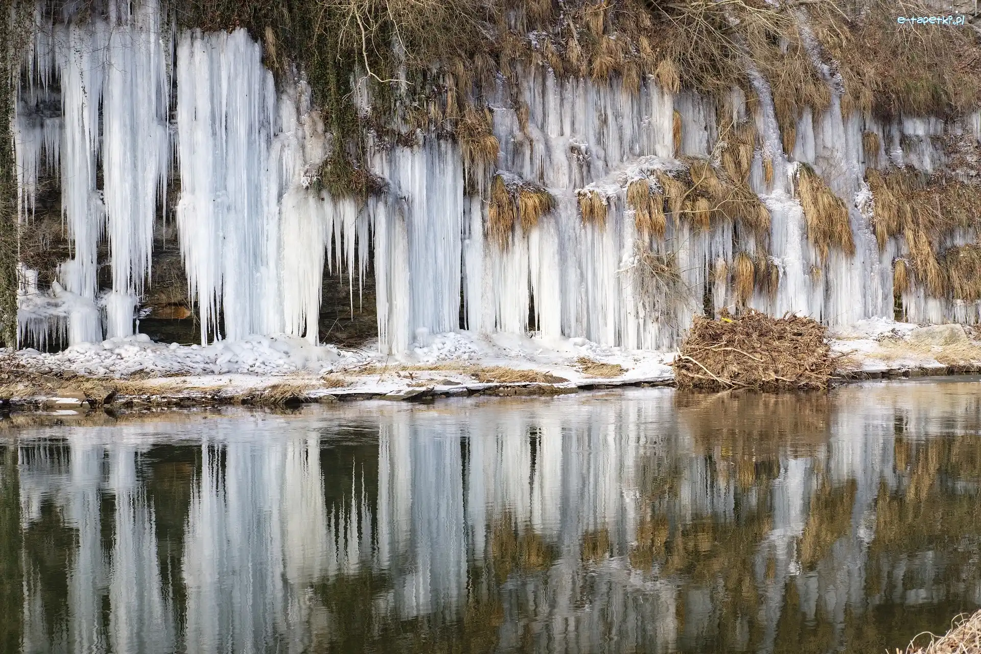 Zima, Trawy, Sople, Rzeka, Rośliny
