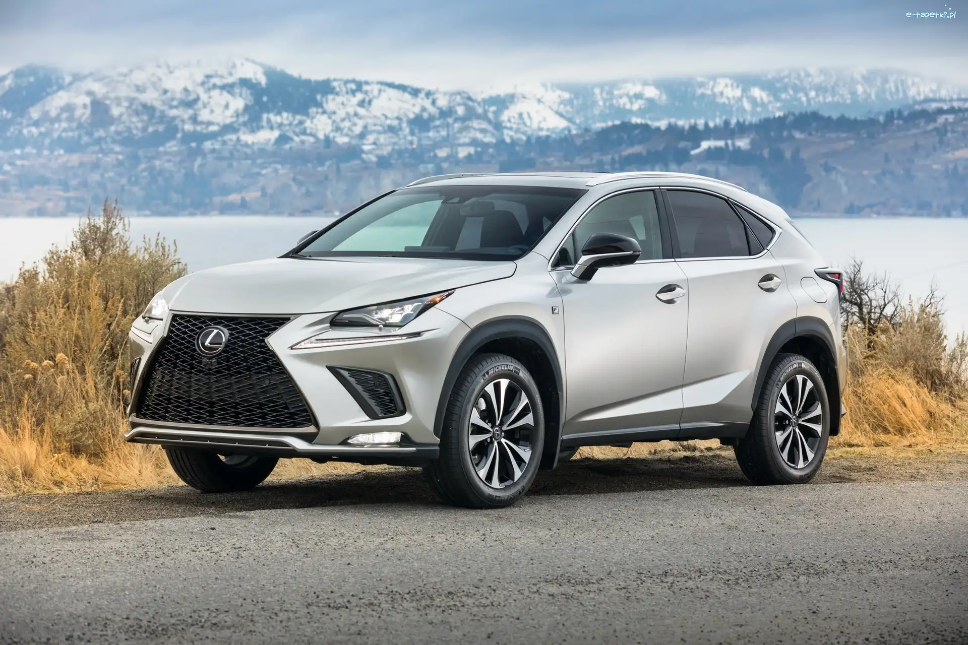Góry, Lexus NX 300h