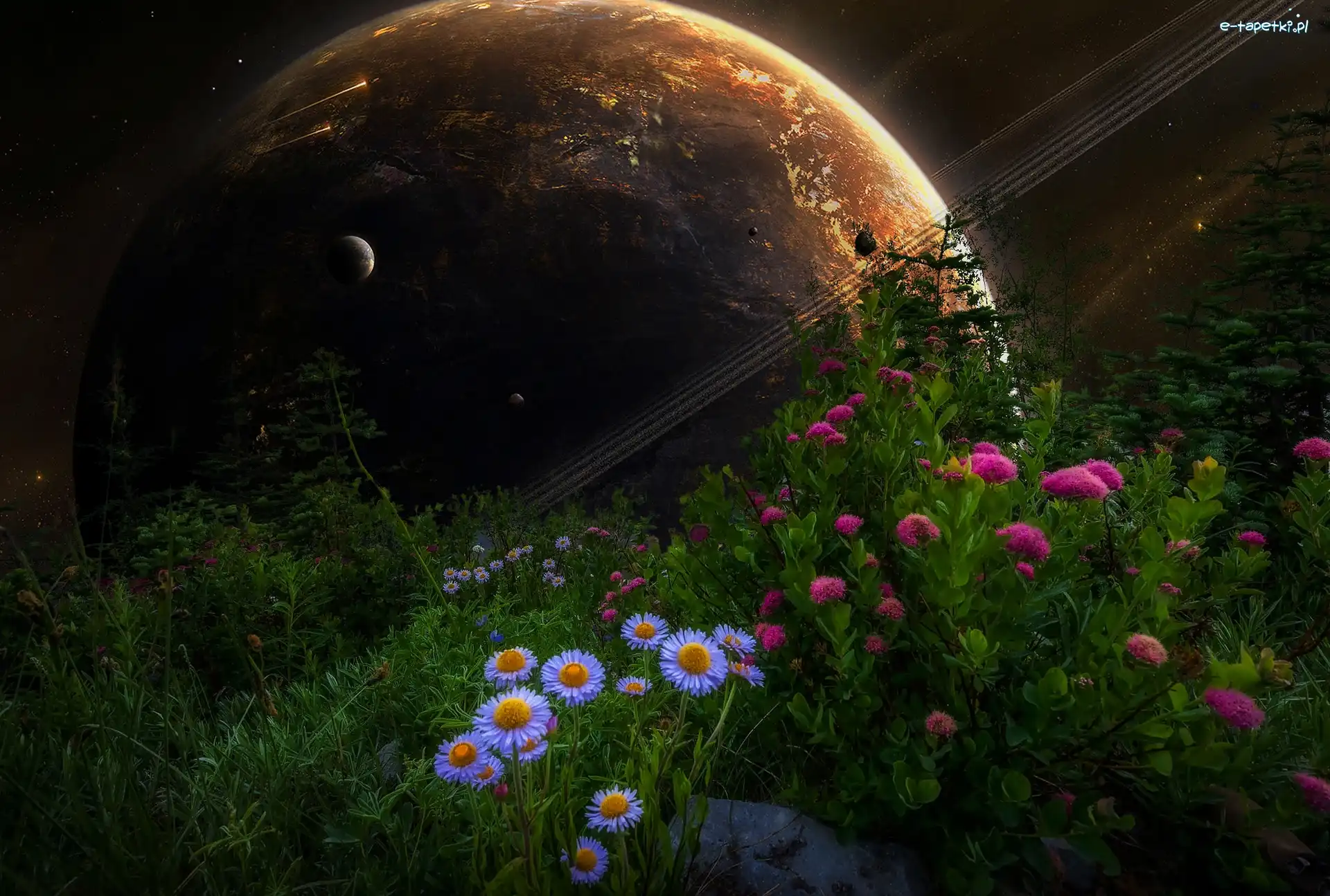 Kwiaty, Planeta, Fantasy