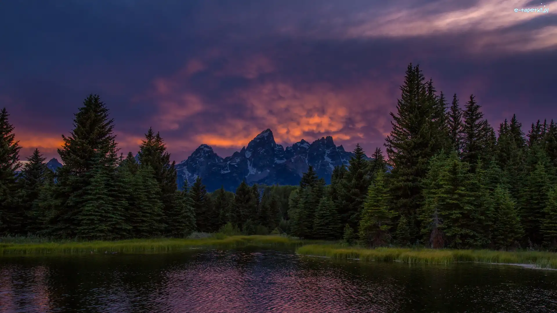 Stany Zjednoczone, Góry Teton Range, Drzewa, Rzeka Snake River, Park Narodowy Grand Teton, Stan Wyoming, Zachód słońca