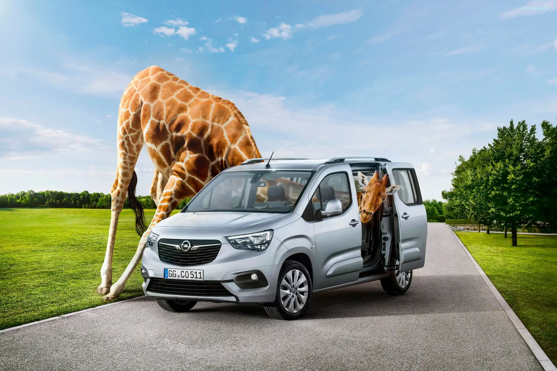 2018, Śmieszne, Żyrafa, Opel Combo