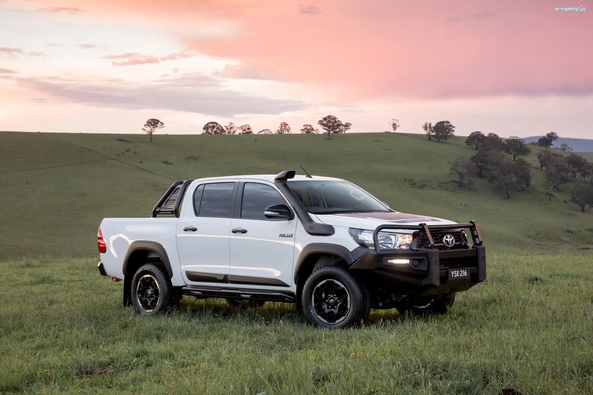 Toyota Hilux, Biała
