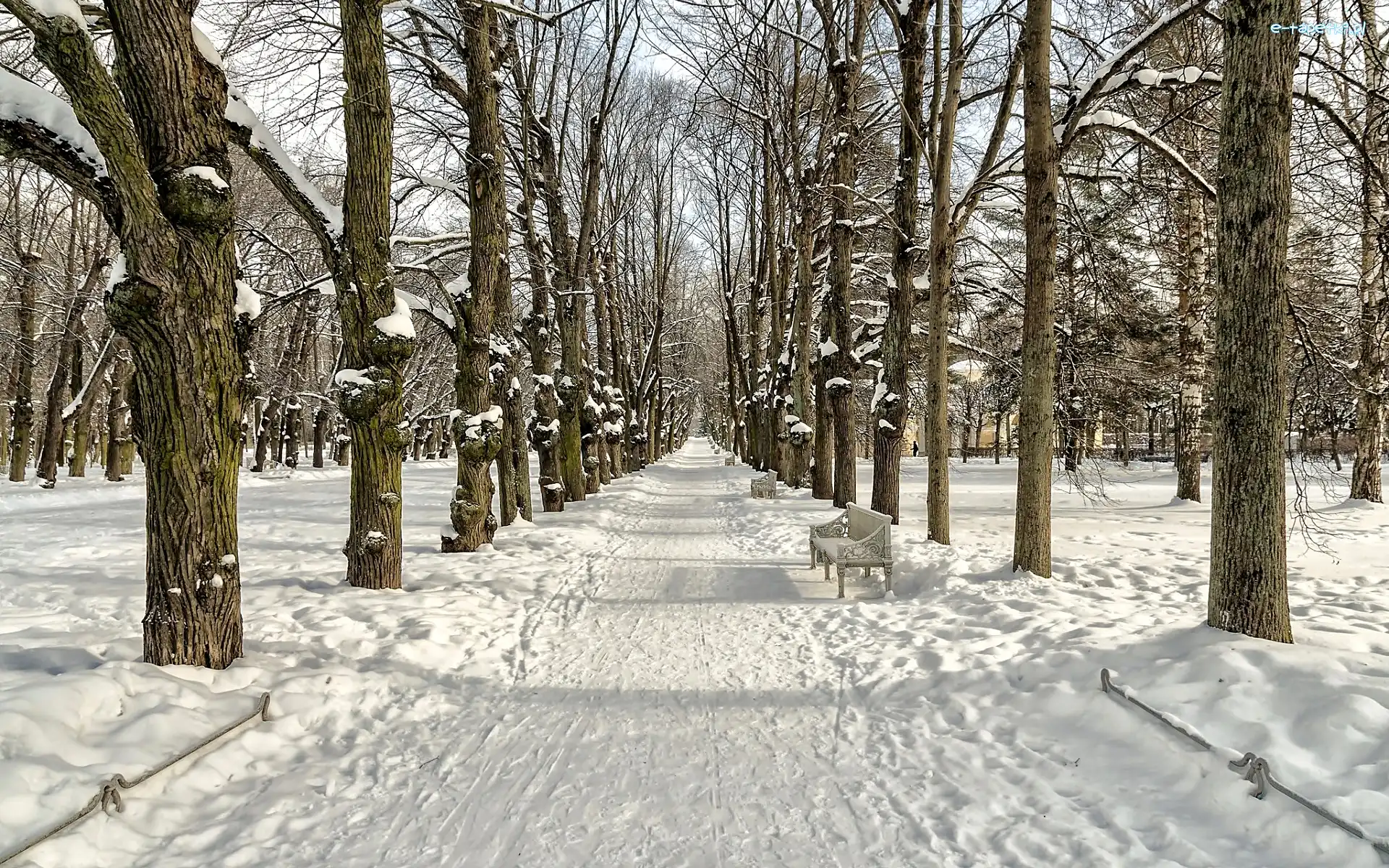 Zima, Droga, Park, Drzewa, Ławki