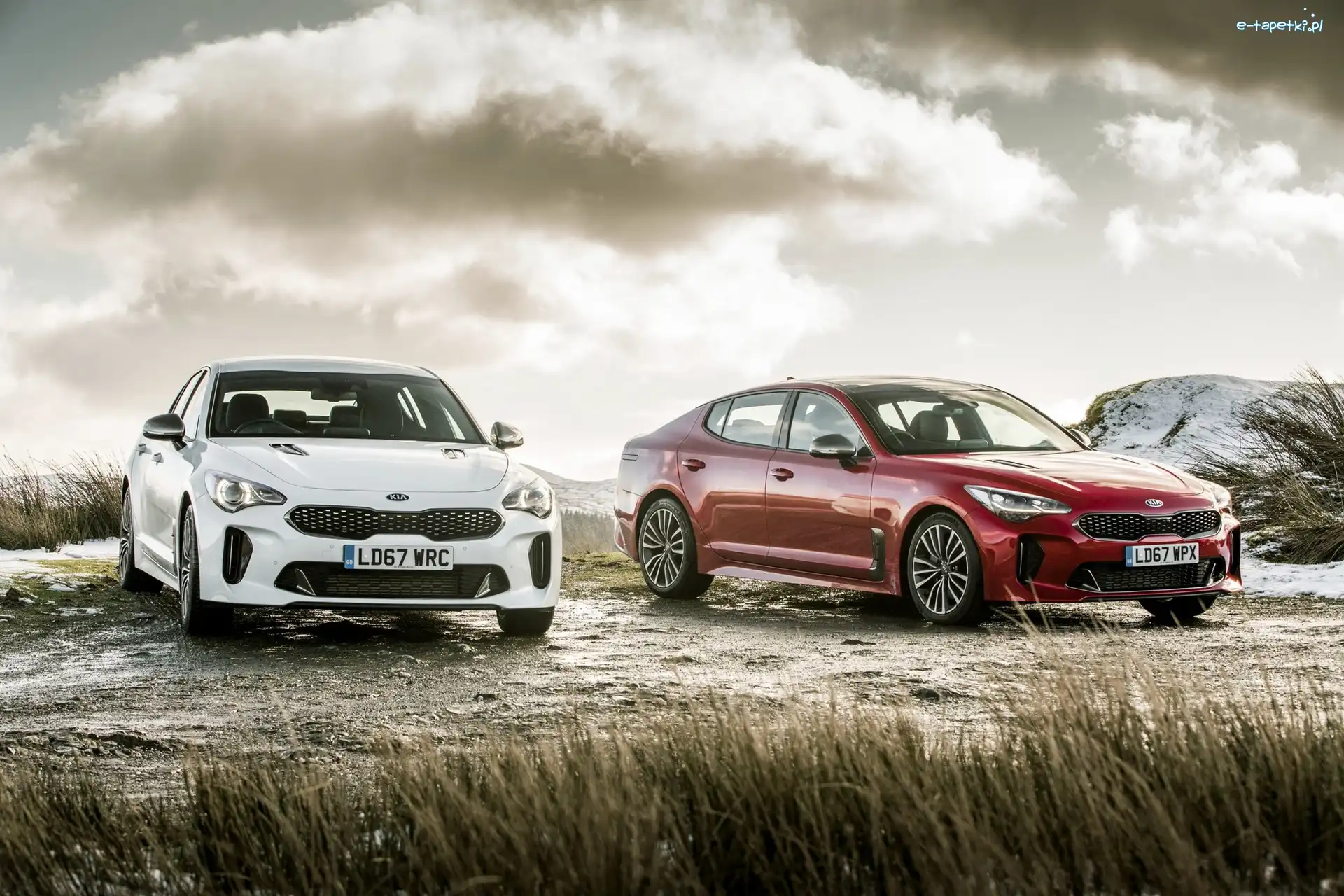 Kia Stinger, Samochody, Dwa