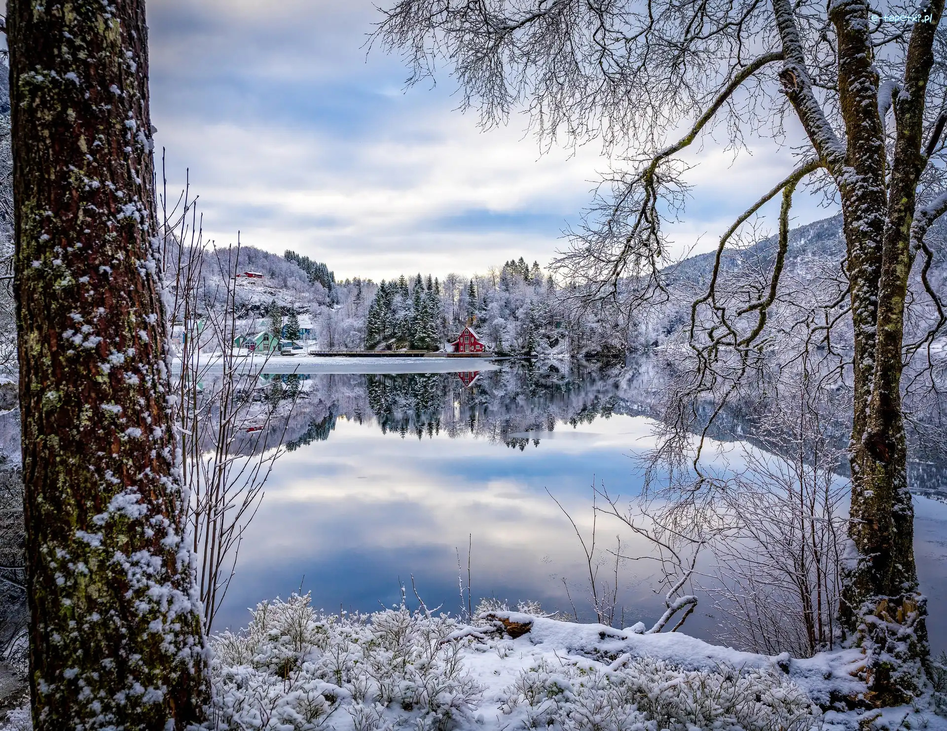 Wieś Flekke, Okręg Sogn og Fjordane, Domy, Drzewa, Gmina Fjaler, Zima, Fiord Dalsfjorden, Norwegia