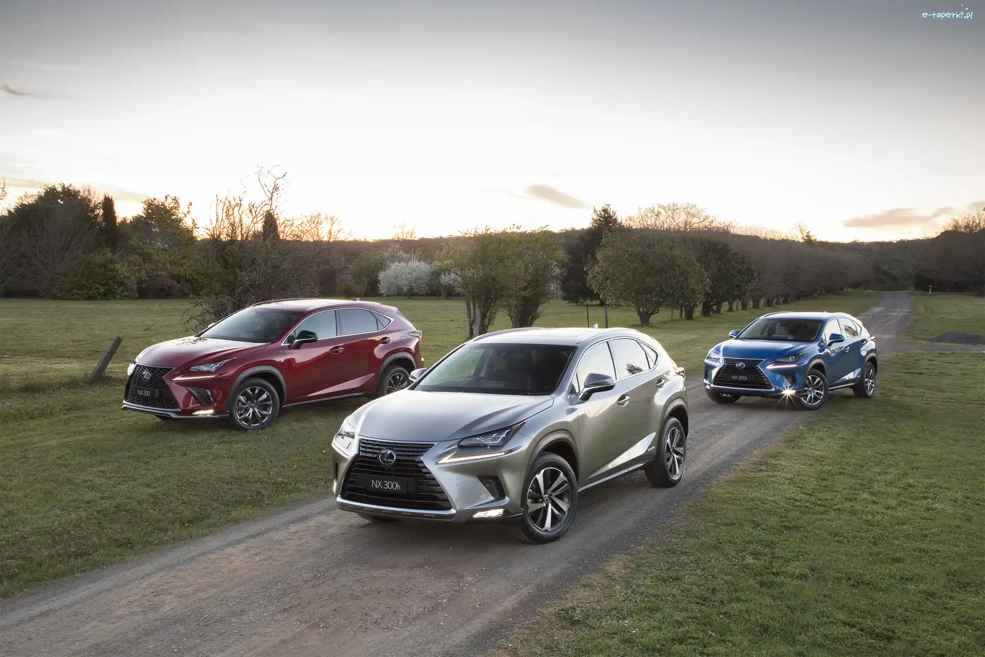 Lexus NX, Samochody, Trzy