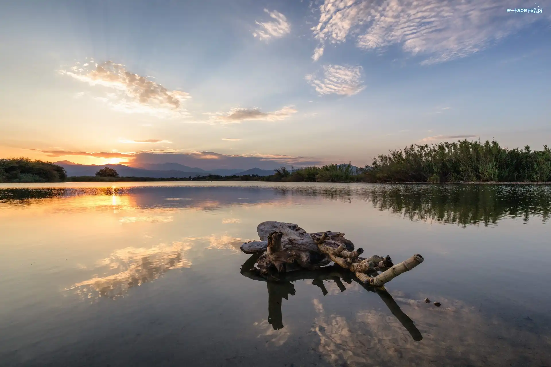 Drzewa, Zachód słońca, Korsyka, Gmina Aleria, Jezioro Etang del Sale, Drzewa, Konar, Francja, Suchy