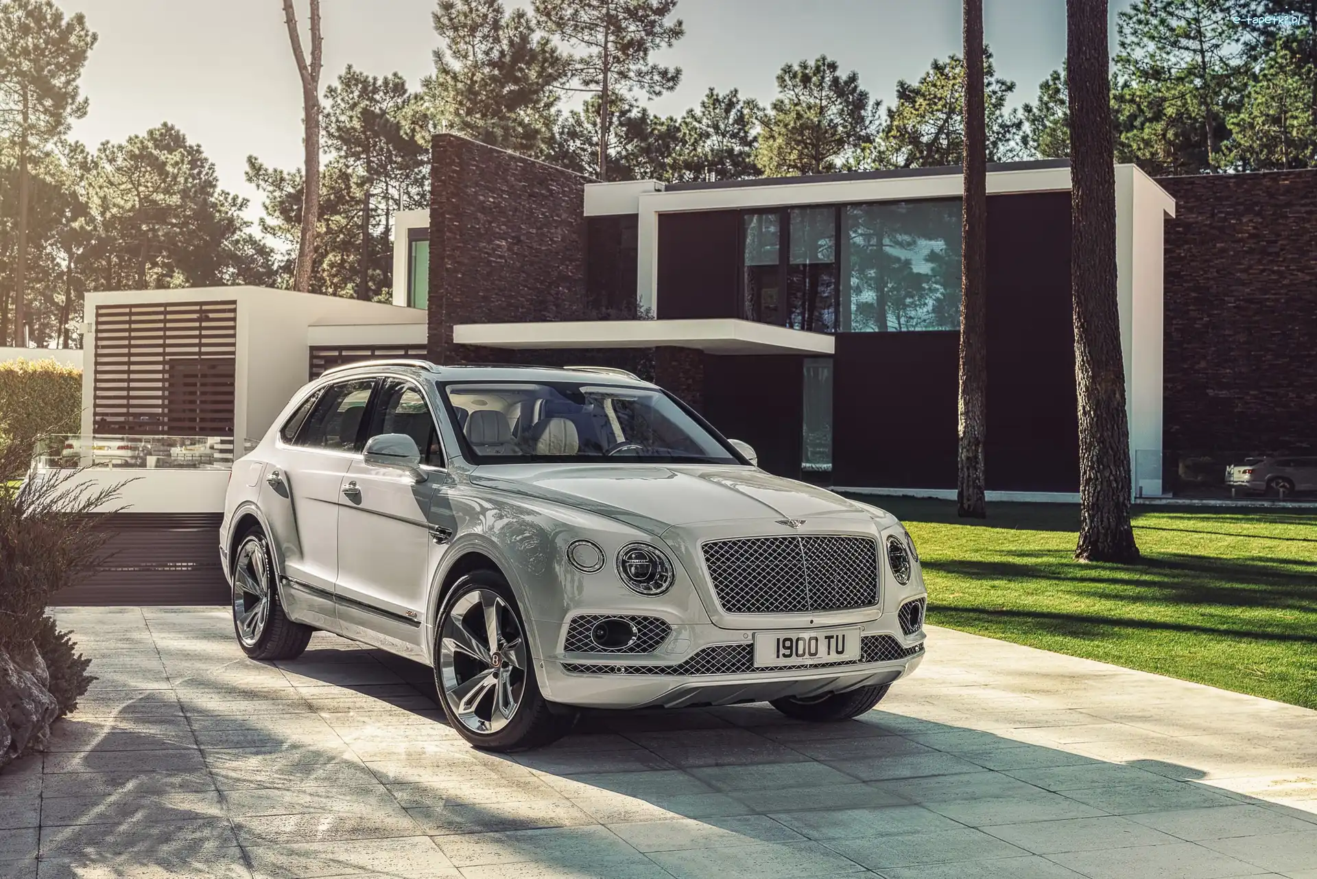 Hybrid, Bentley Bentayga