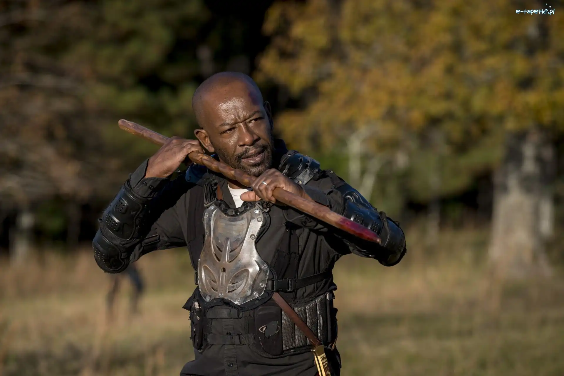 Serial, Żywe trupy, The Walking Dead, Lennie James, Postać Morgan Jones