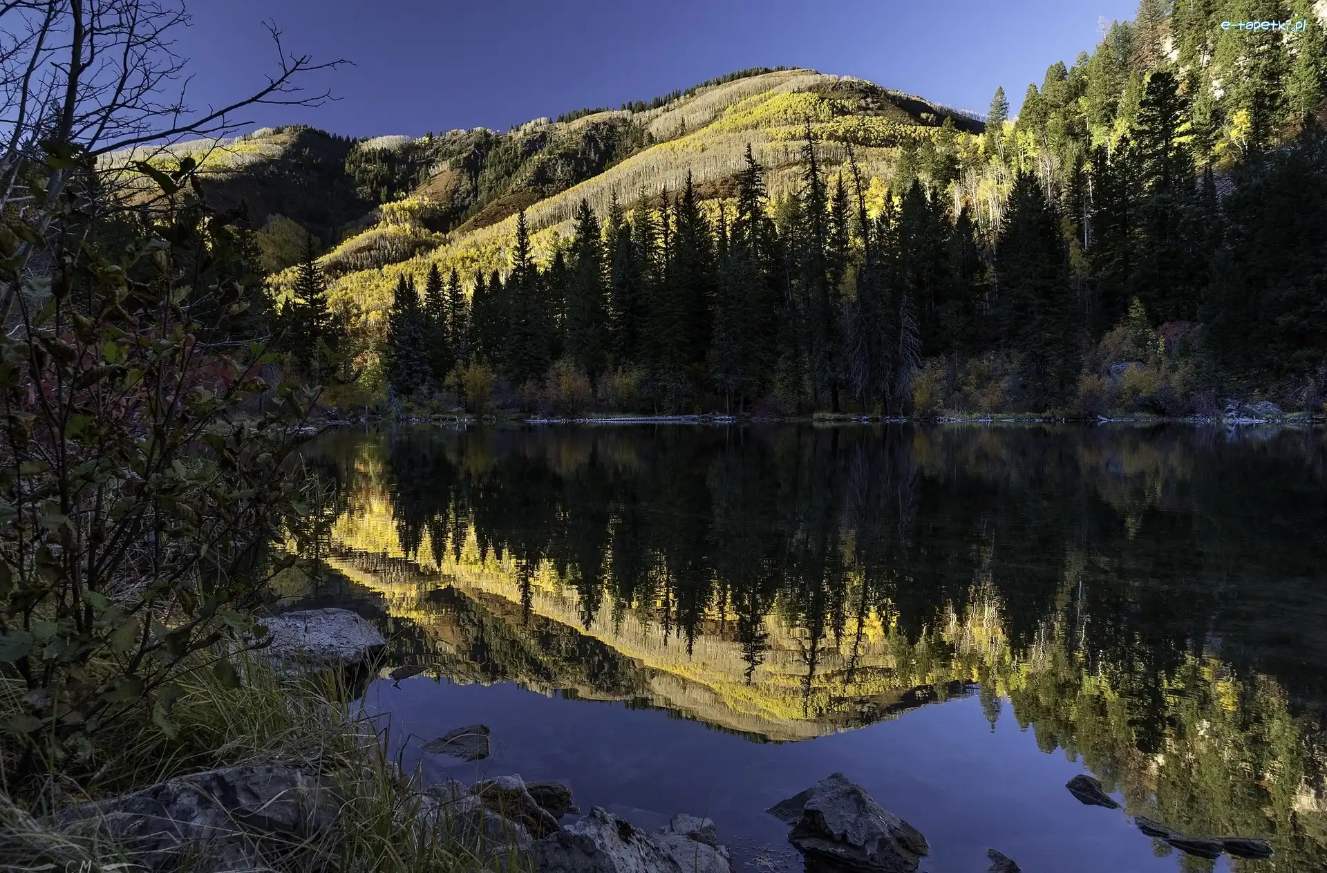 Odbicie, Kolorado, Stany Zjednoczone, Hrabstwo San Juan, Góra Whitehouse Mountain, Drzewa, Jezioro