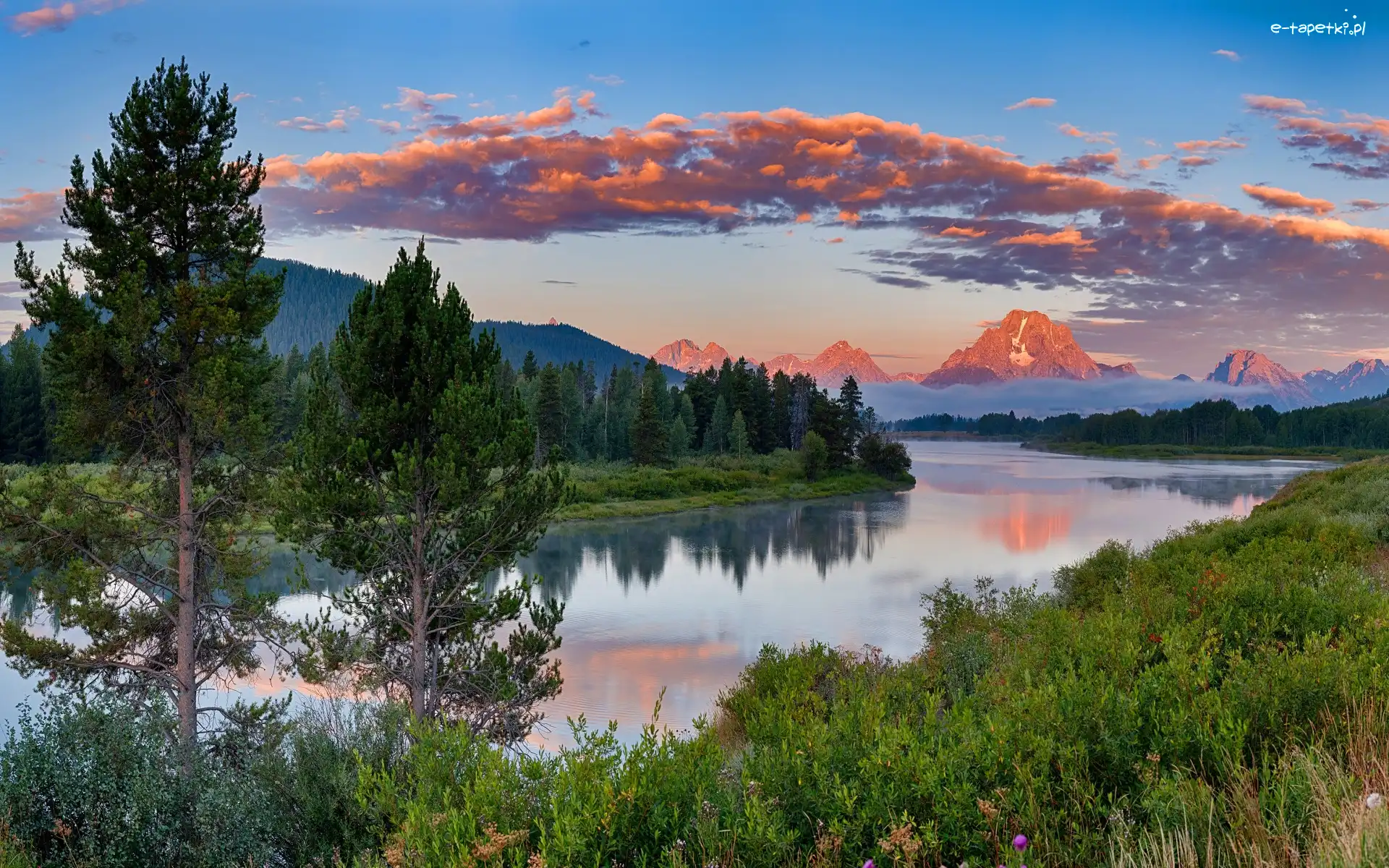 Drzewa, Park Narodowy Grand Teton, Rzeka Snake River, Stan Wyoming, Stany Zjednoczone, Las, Góry Skaliste