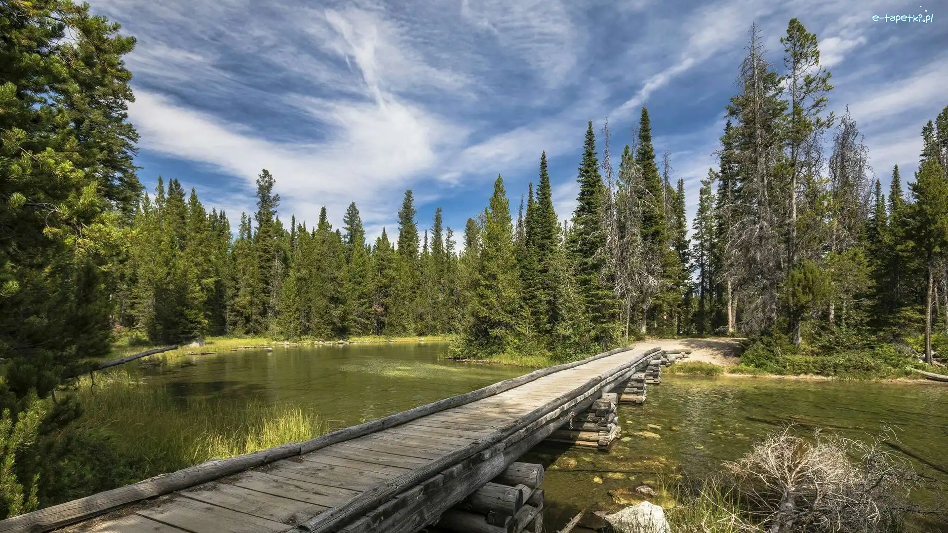Jezioro, Stan Wyoming, Chmury, Most, Stany Zjednoczone, Drzewa, Drewniany, Park Narodowy Grand Teton