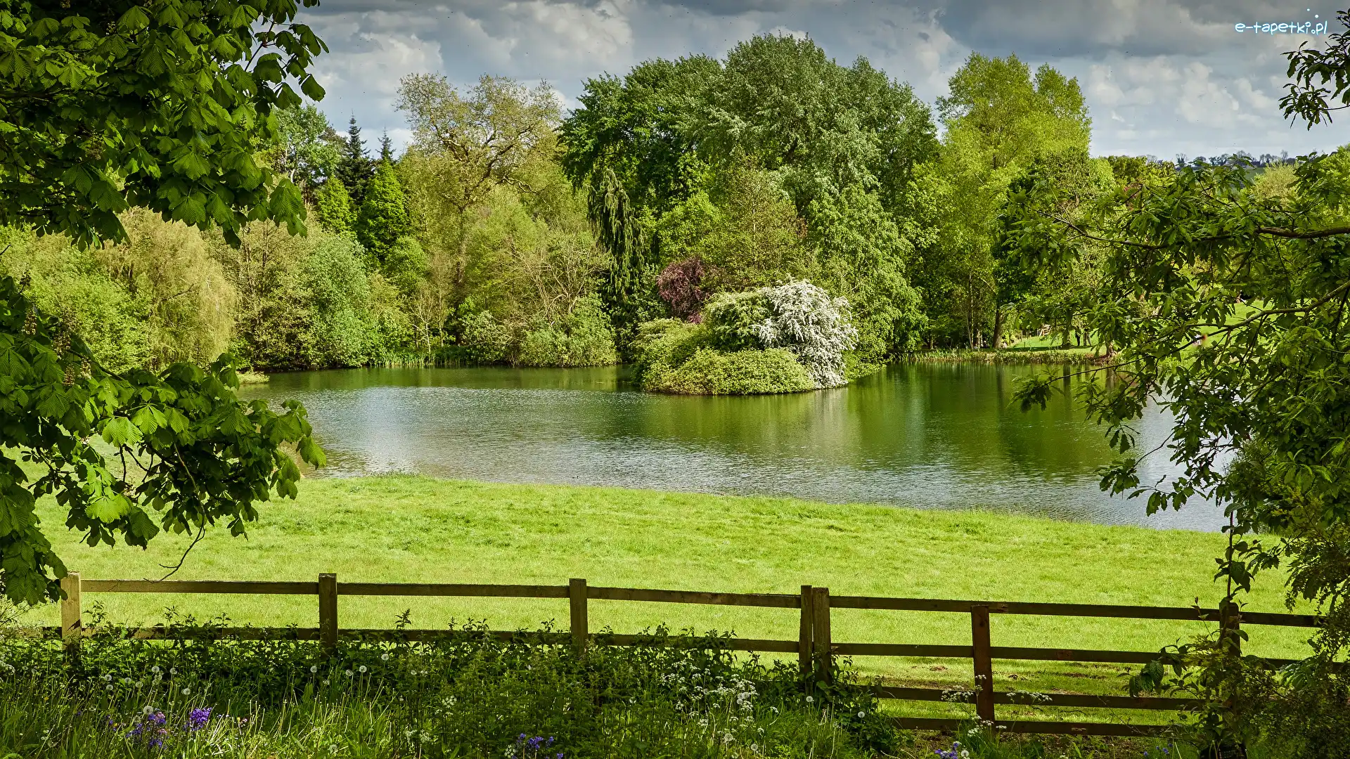 Ogrodzenie, Park, Jezioro, Wieś Thenford, Anglia, Krzewy, Drzewa