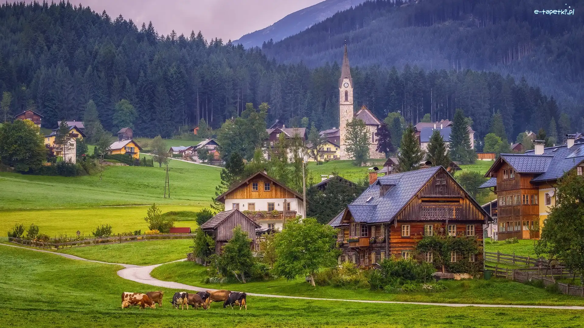 Kościół, Austria, Powiat Gmunden, Pastwisko, Lasy, Drzewa, Góry Dachstein, Krowy, Droga, Mgła, Domy, Miejscowość Gosau