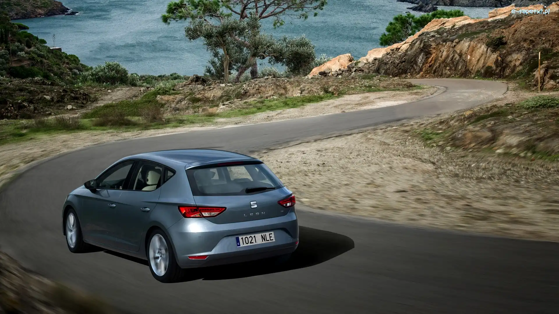 Droga, Seat Leon