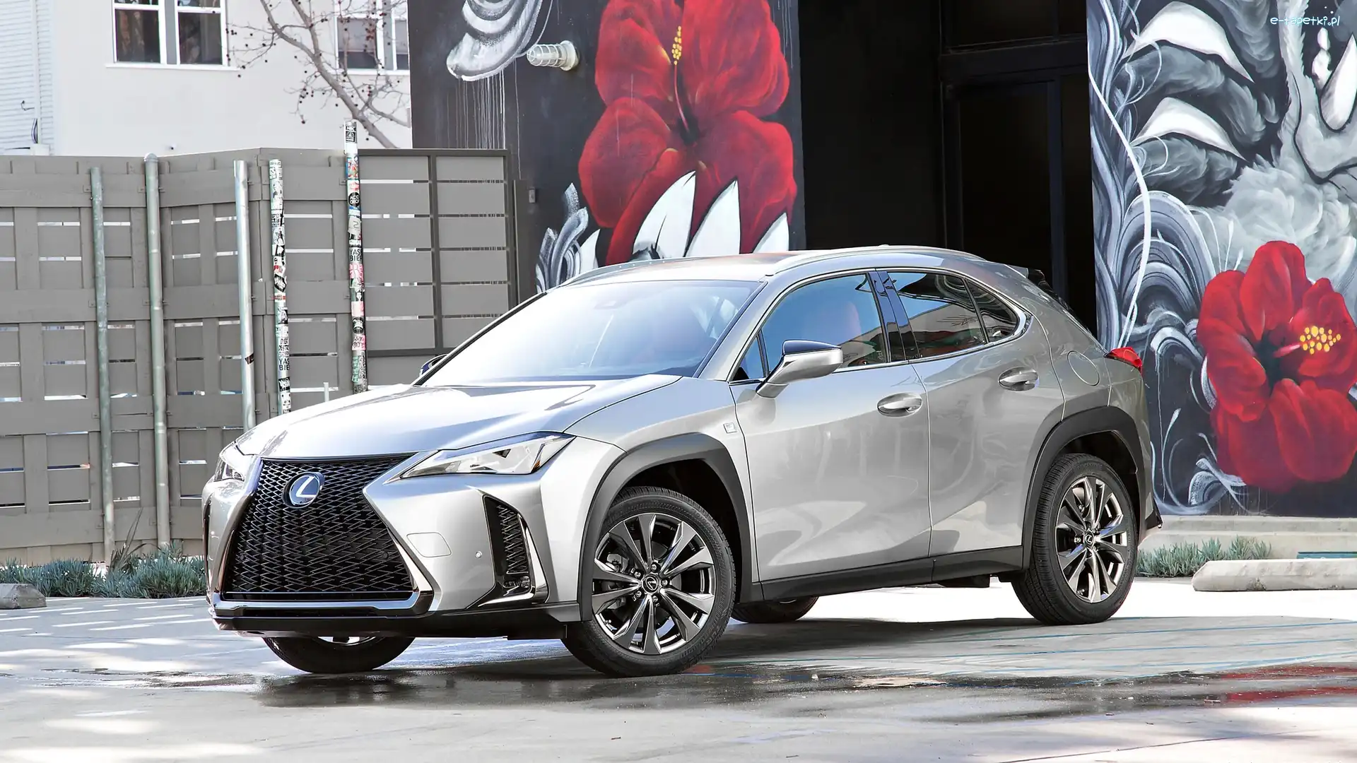 Ogrodzenie, Ściana, Kolorowa, Lexus UX200