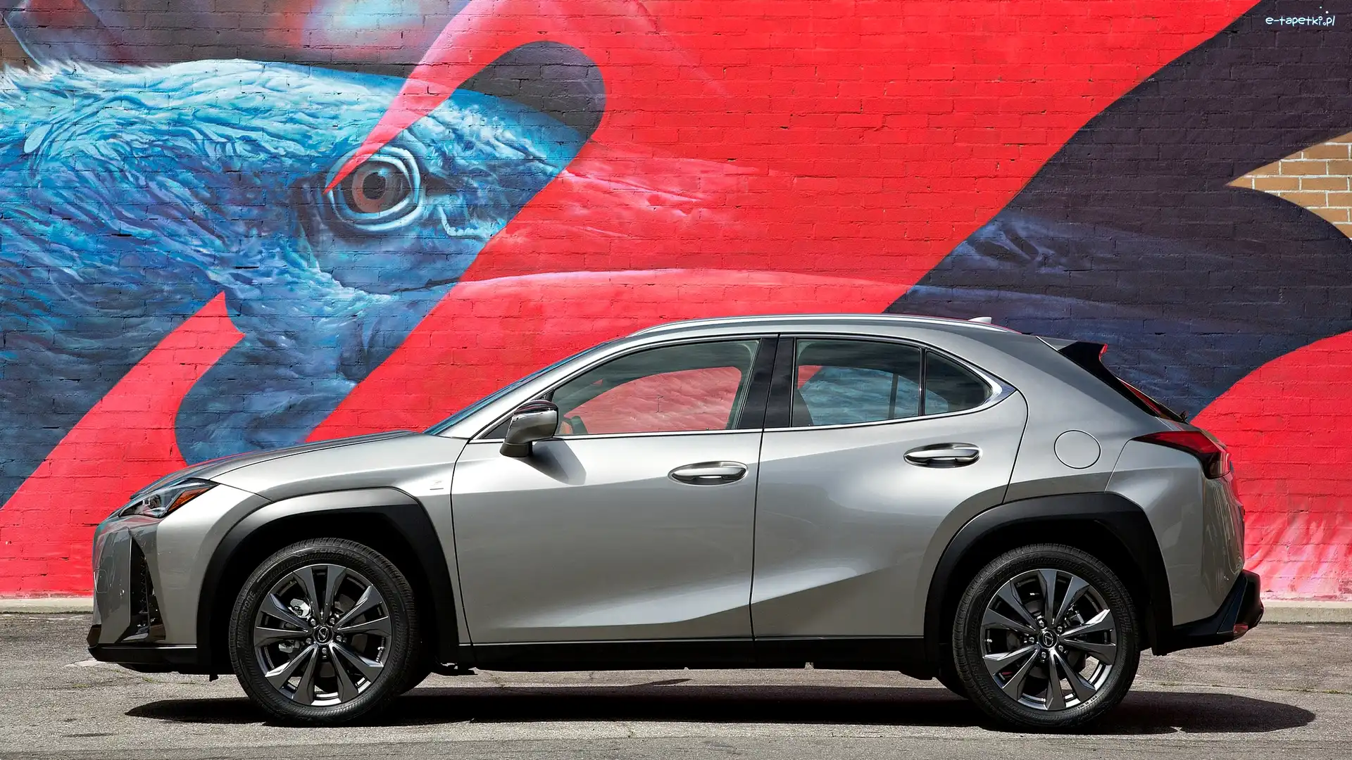 Graffiti, Ściana, Lexus UX200