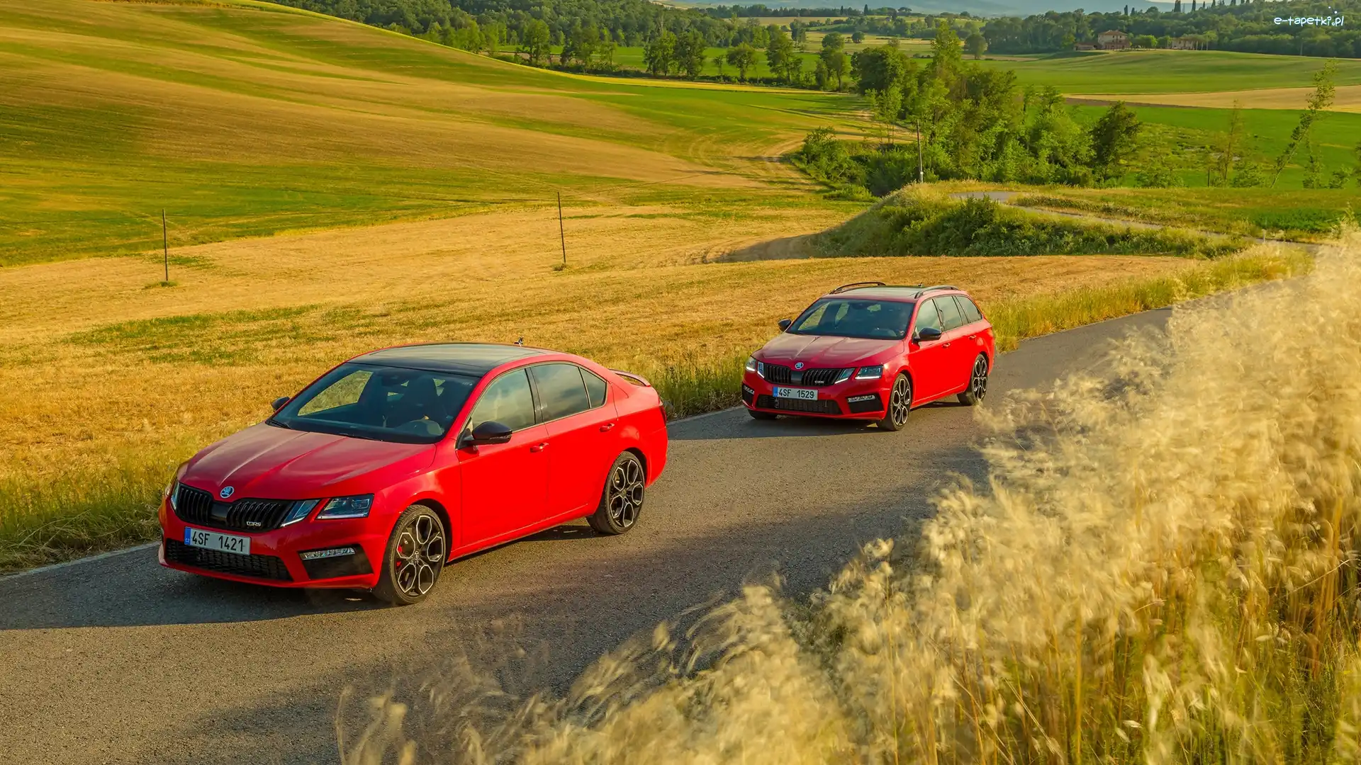 Pola, Dwa, Czerwone, Skoda Octavia III Kombi, Skoda Octavia III RS, Droga, Samochody