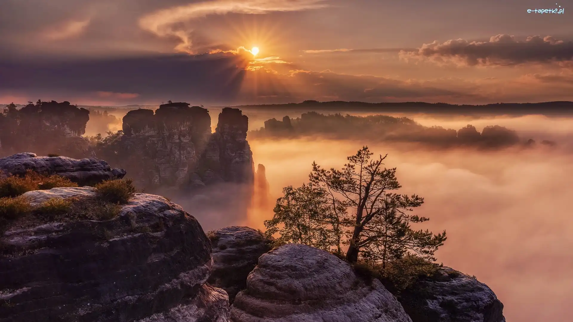 Drzewo, Mgła, Góry Połabskie, Skały Bastei, Park Narodowy Saskiej Szwajcarii, Chmury, Promienie słońca, Niemcy, Wschód słońca