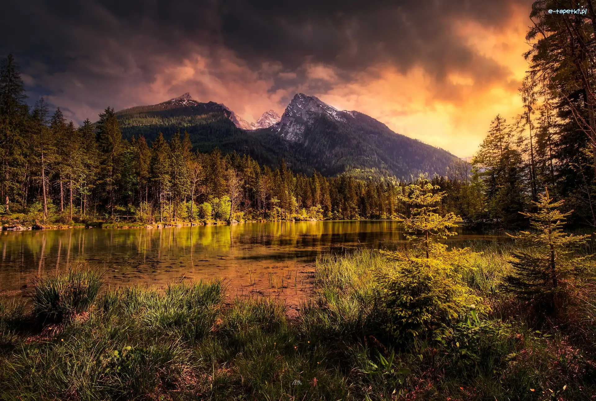 Góry, Bawaria, Niemcy, Drzewa, Powiat Berchtesgadener, Jezioro Hintersee