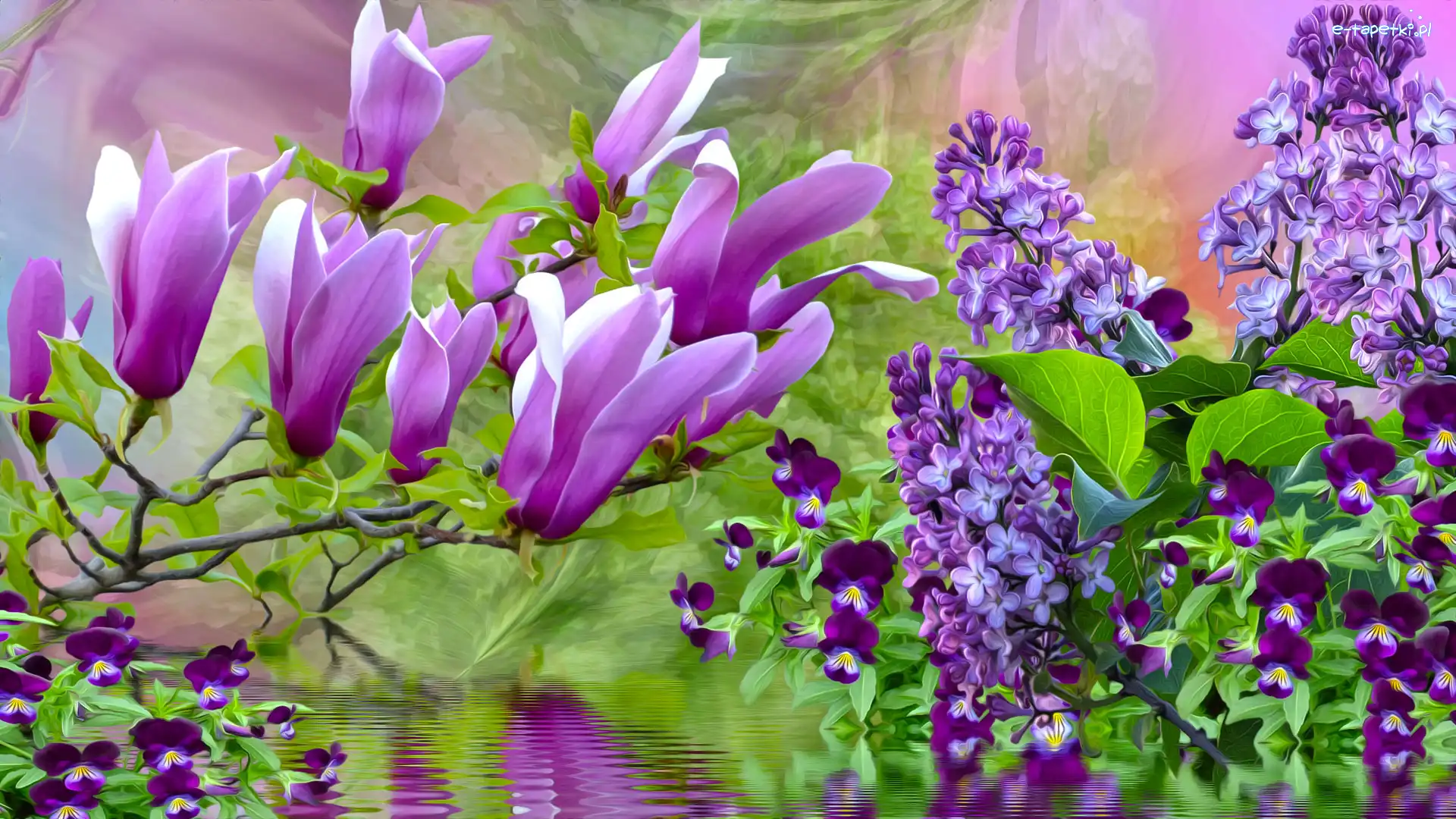 Magnolia, Kwiaty, Bez, Bratki, Wiosenne, Grafika