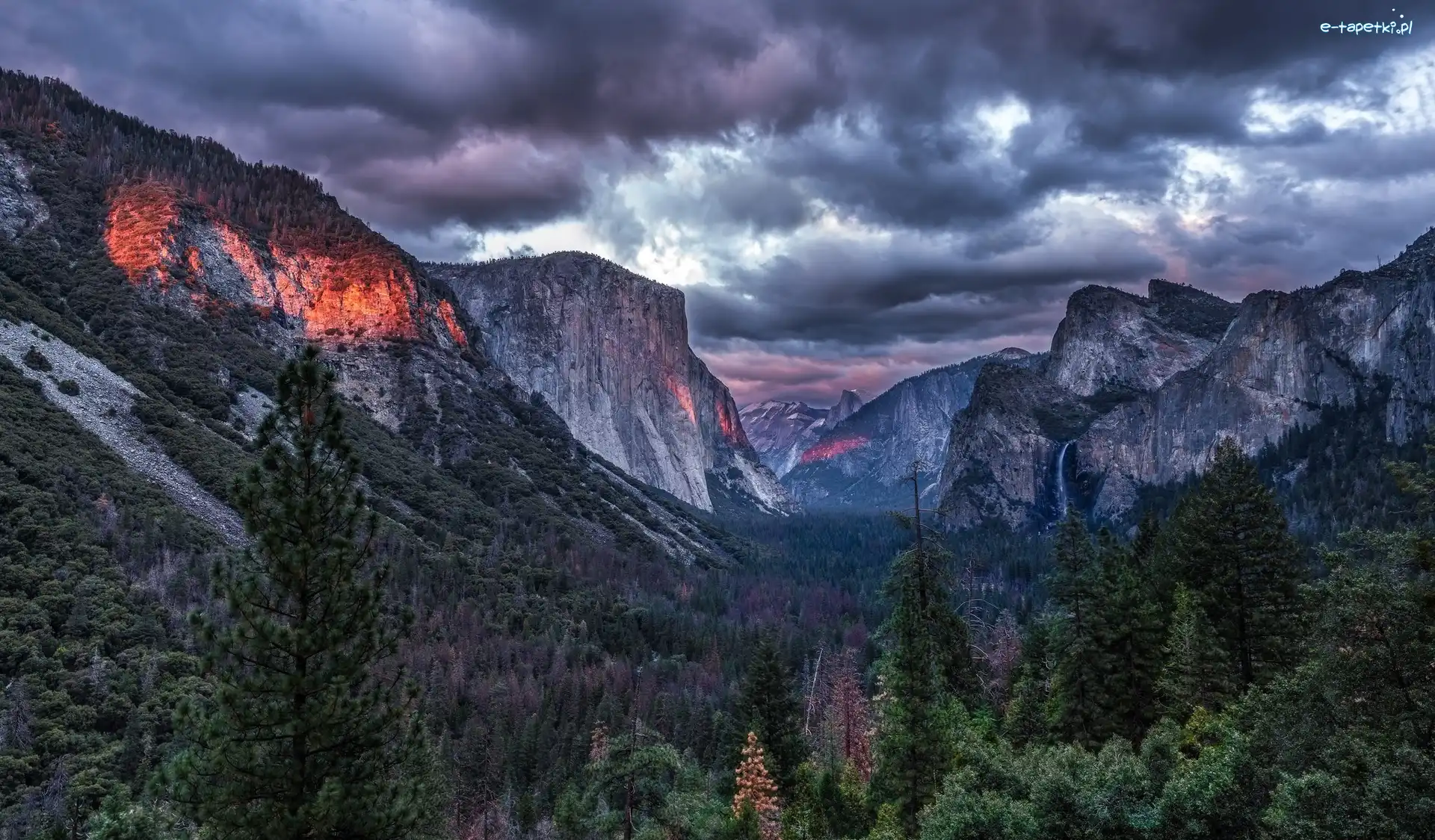 Świerki, Stan Kalifornia, Stany Zjednoczone, Dolina Yosemite Valley, Park Narodowy Yosemite, Chmury, Góry