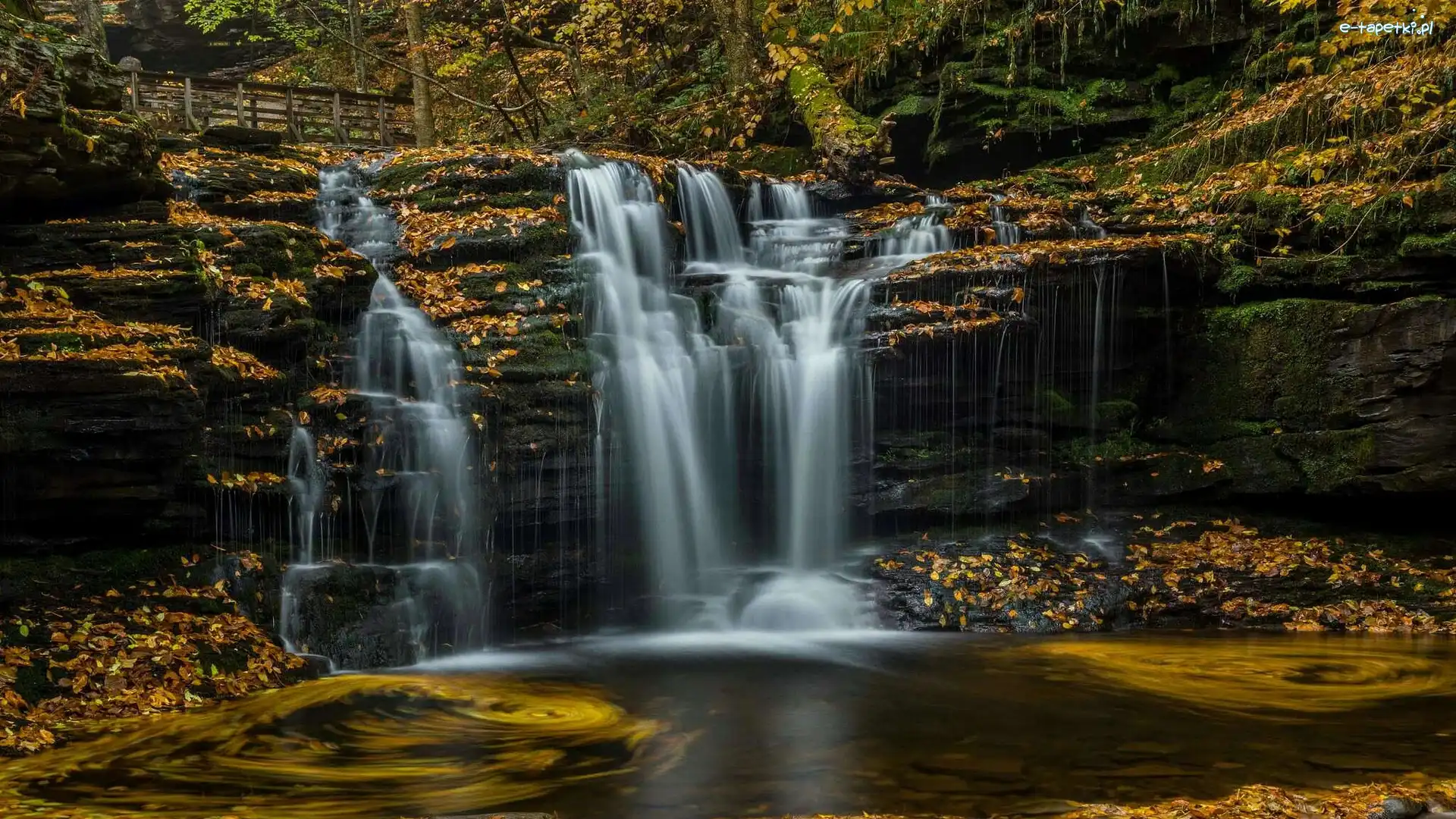 Stan Pensylwania, Skały, Las, Stany Zjednoczone, Wodospad, Park stanowy Ricketts Glen State Park