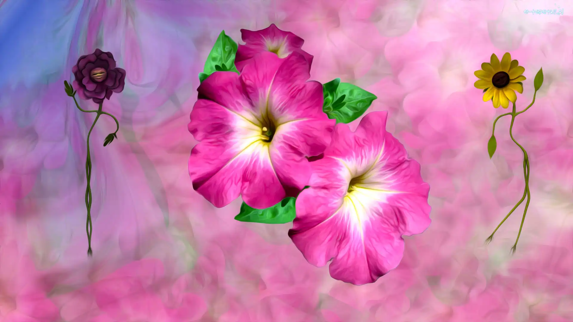 Kwiaty, Grafika, Petunia ogrodowa