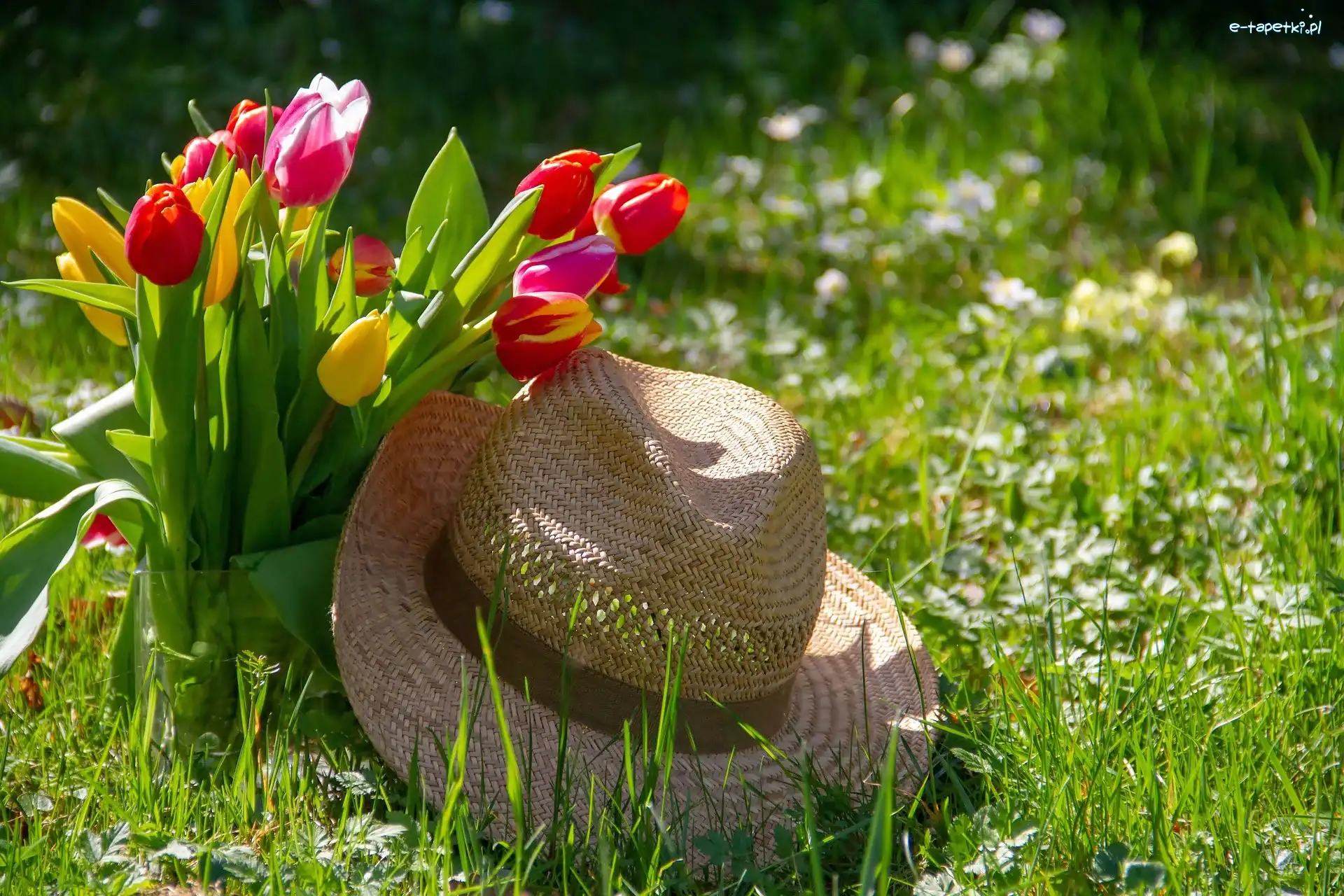 Tulipany, Łąka, Kapelusz, Bukiet