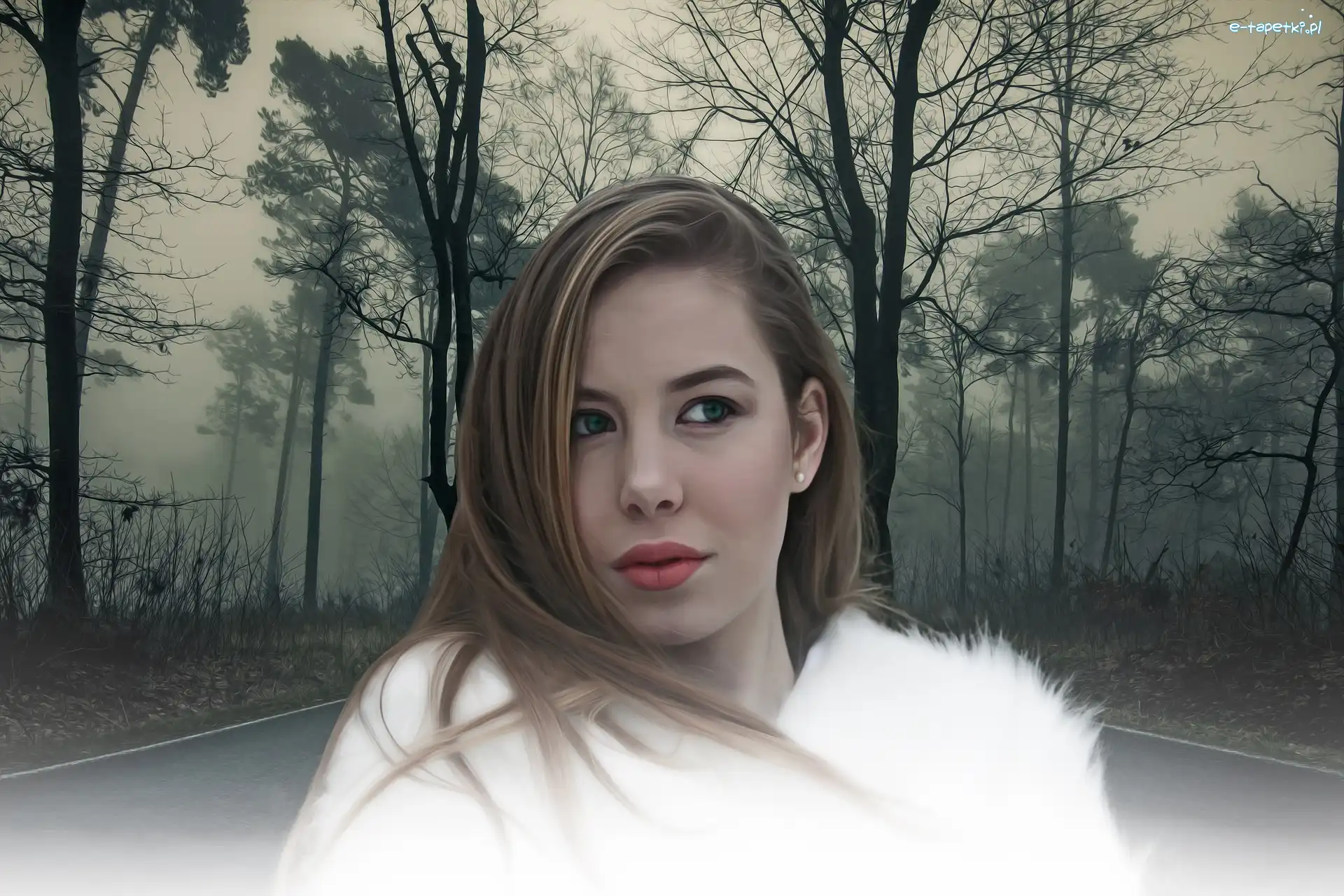 Droga, Białe, Paintography, Mgła, Futro, Drzewa, Zmrok, Kobieta