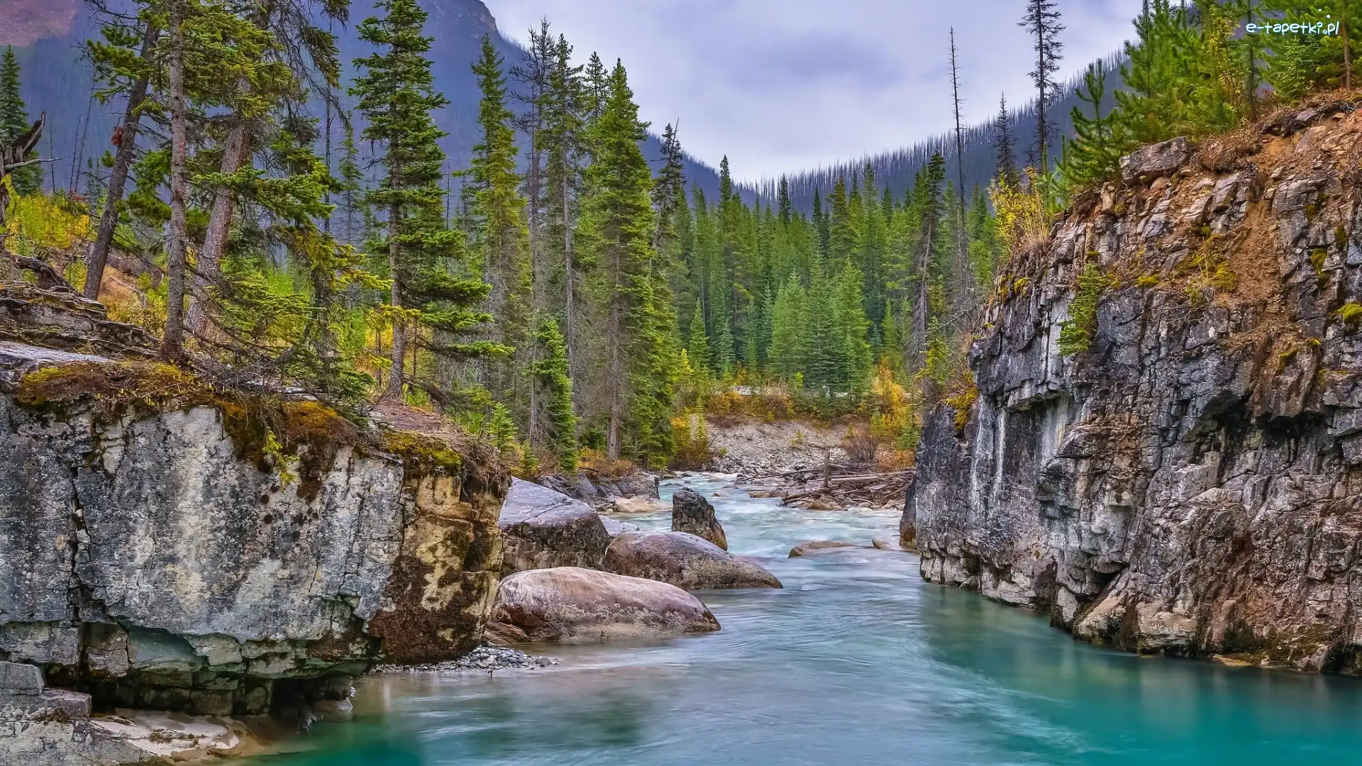 Góry, Prowincja Kolumbia Brytyjska, Kamienie, Skały, Strumień Tokumm Creek, Rzeka, Park prowincjonalny Marble Canyon, Park Narodowy Kootenay, Kanada, Drzewa