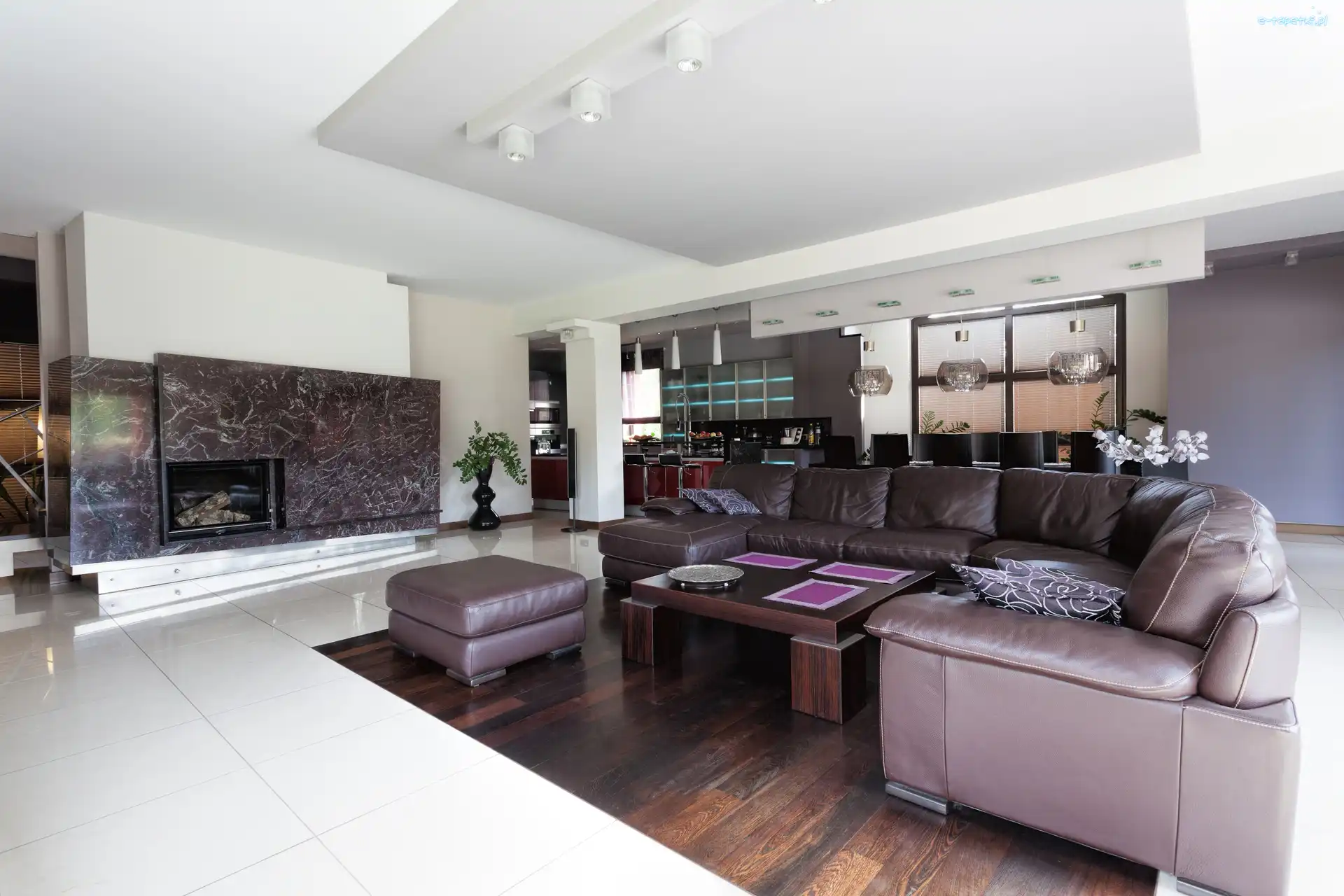 Kominek, Sofa, Skórzana, Salon