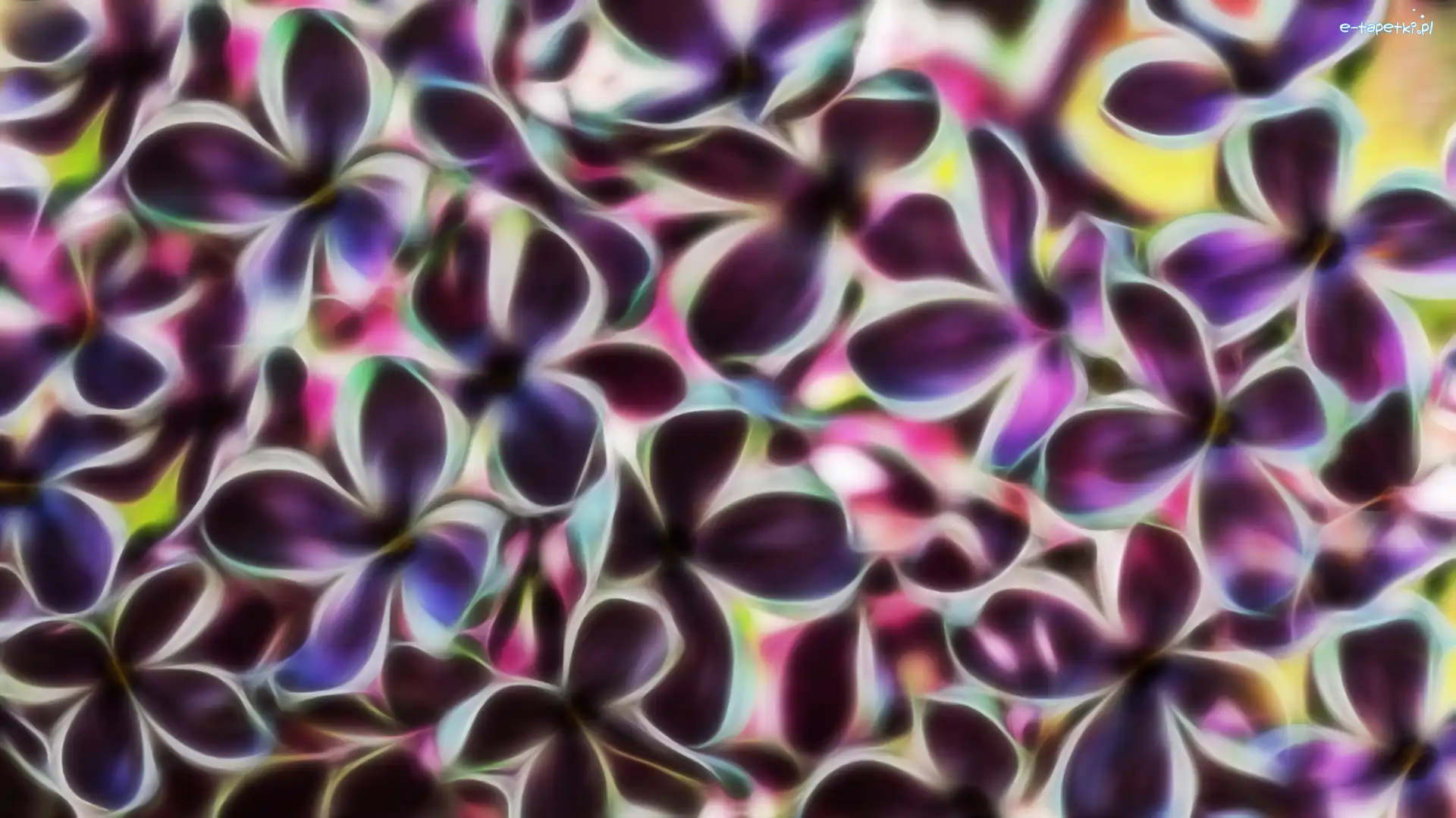 Fractalius, Kwiaty, Bez