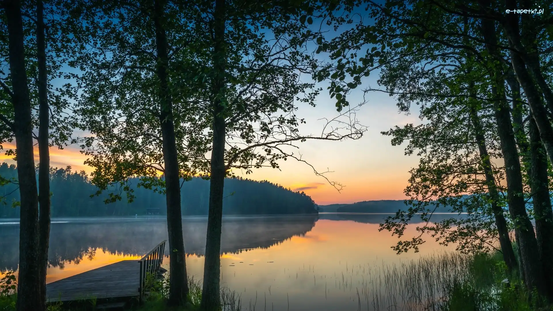 Jezioro, Mgła, Pomost, Wschód słońca, Drzewa