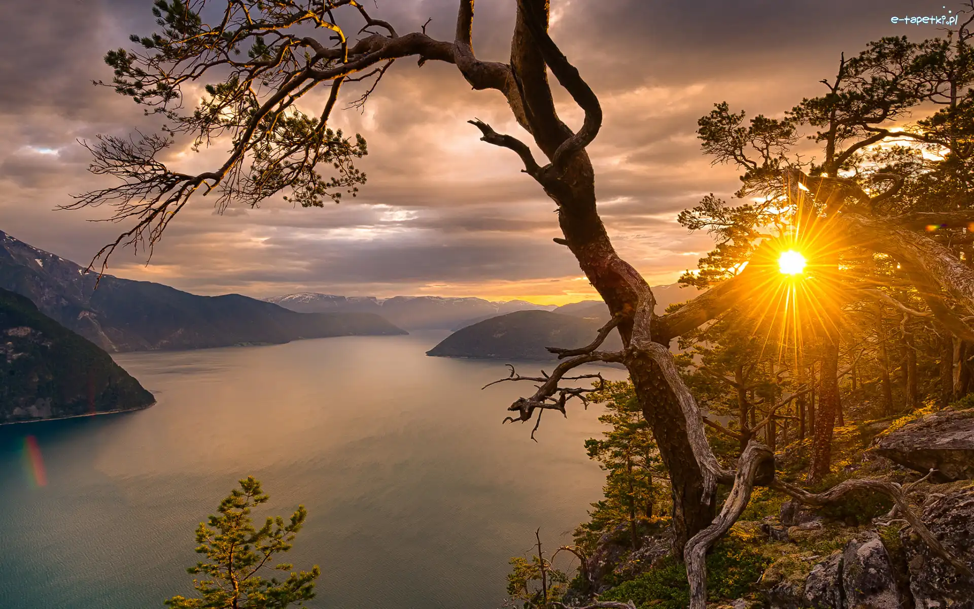 Drzewa, Okręg Sogn og Fjordane, Drzewo, Góry, Norwegia, Zachód słońca, Promienie słońca, Fiord Sognefjorden