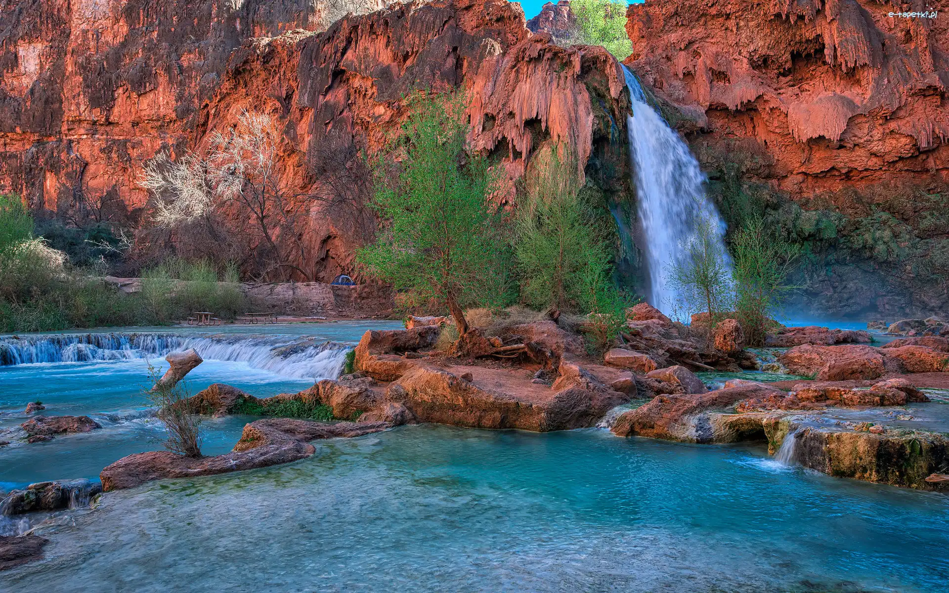 Arizona, Rzeka Havasu Creek, Skały, Drzewa, Park Narodowy Wielkiego Kanionu, Stany Zjednoczone, Kanion, Wodospad Havasu Falls