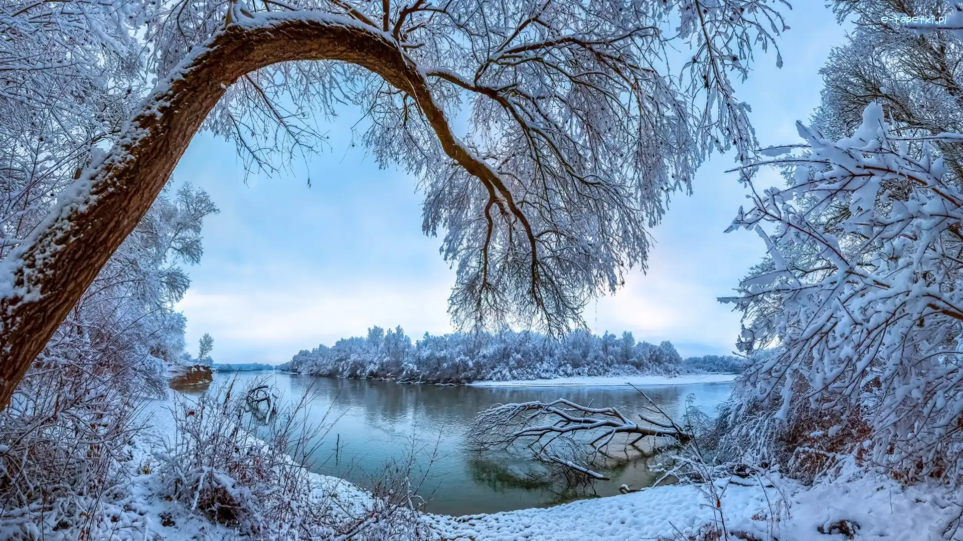 Śnieg, Kraj Stawropolski, Rosja, Rzeka Terek, Zima, Drzewa, Ośnieżone