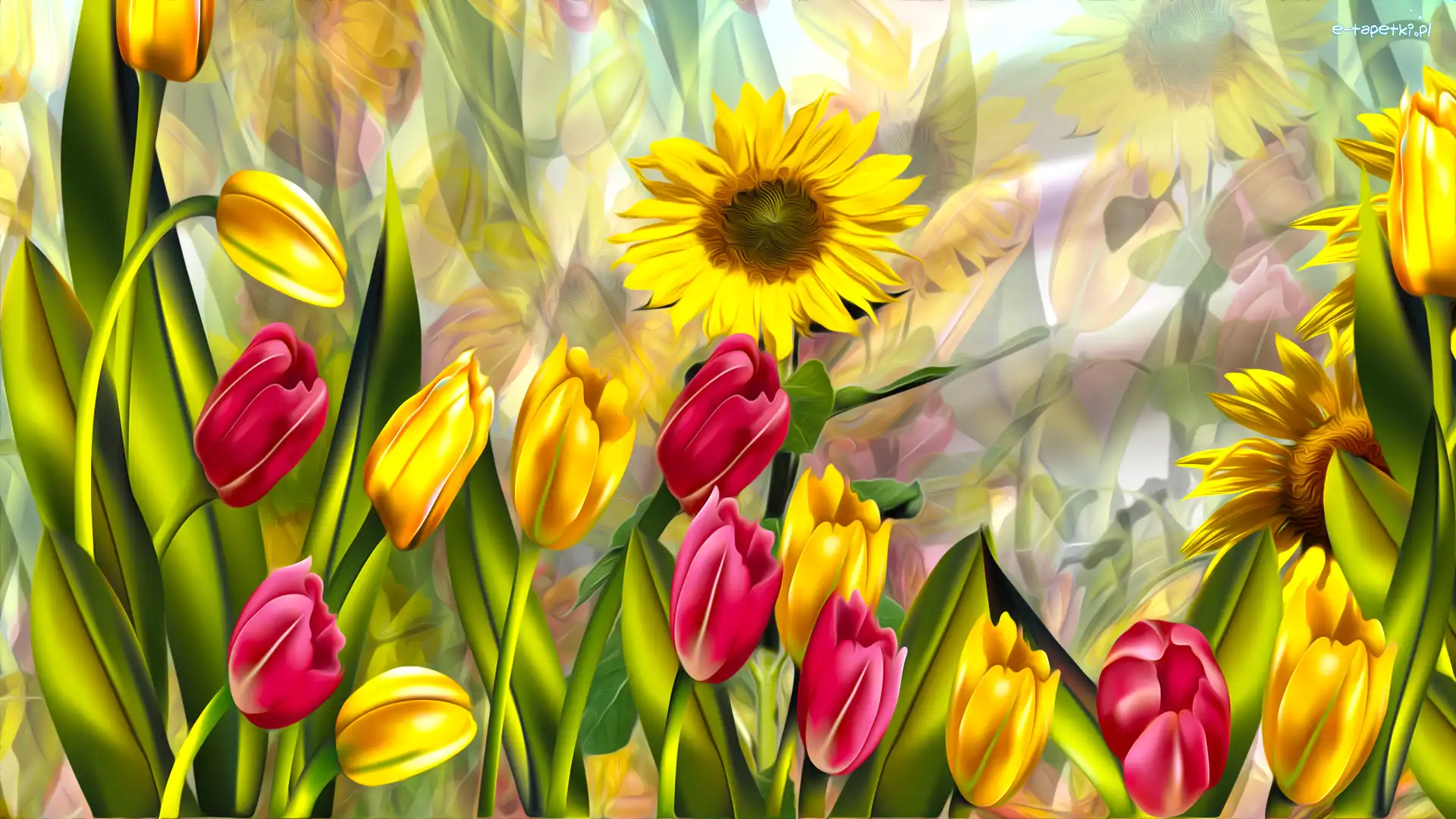 Tulipany, Grafika, Słoneczniki, Kwiaty