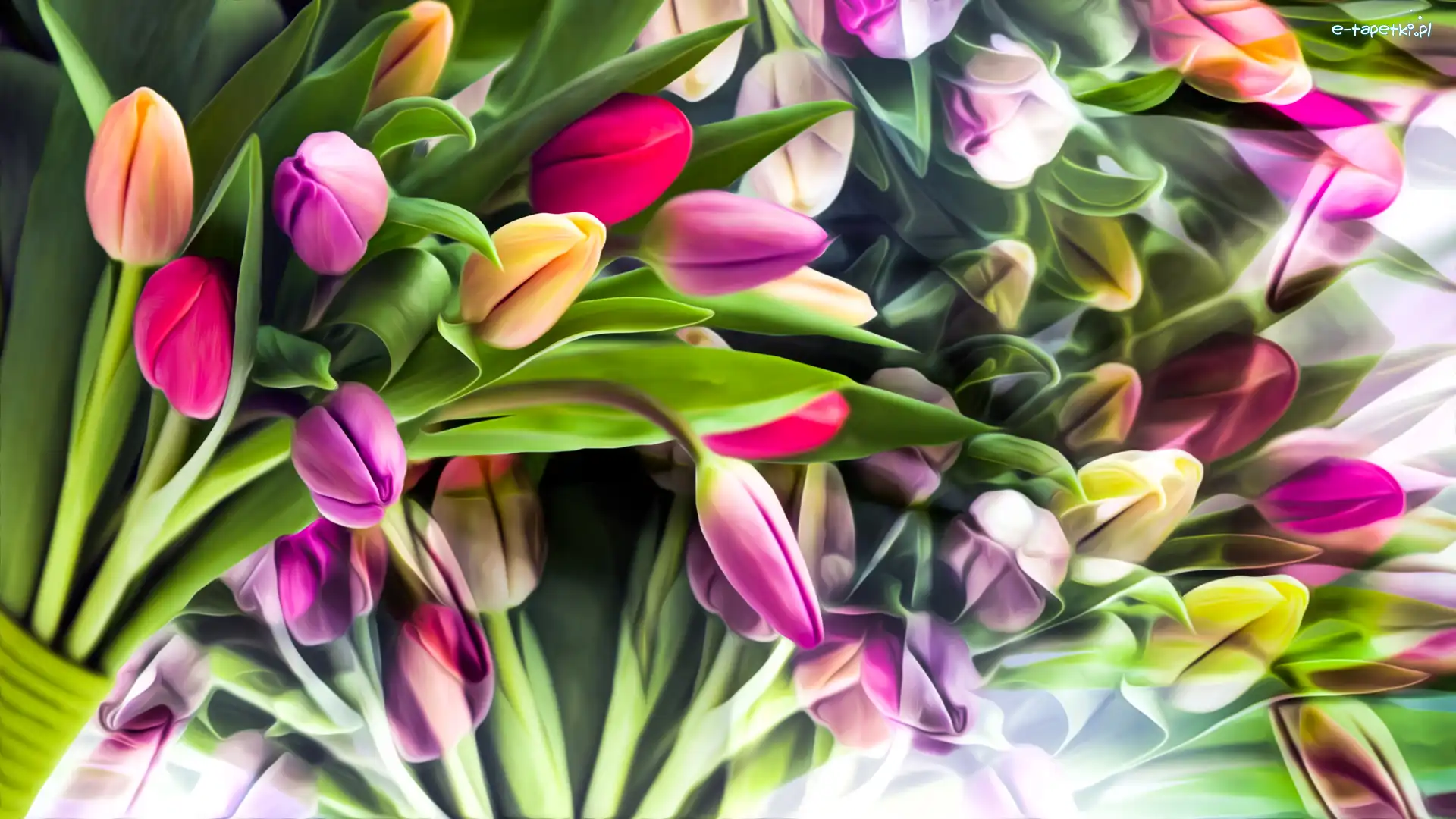 Kolorowe, Grafika, Tulipany, Kwiaty
