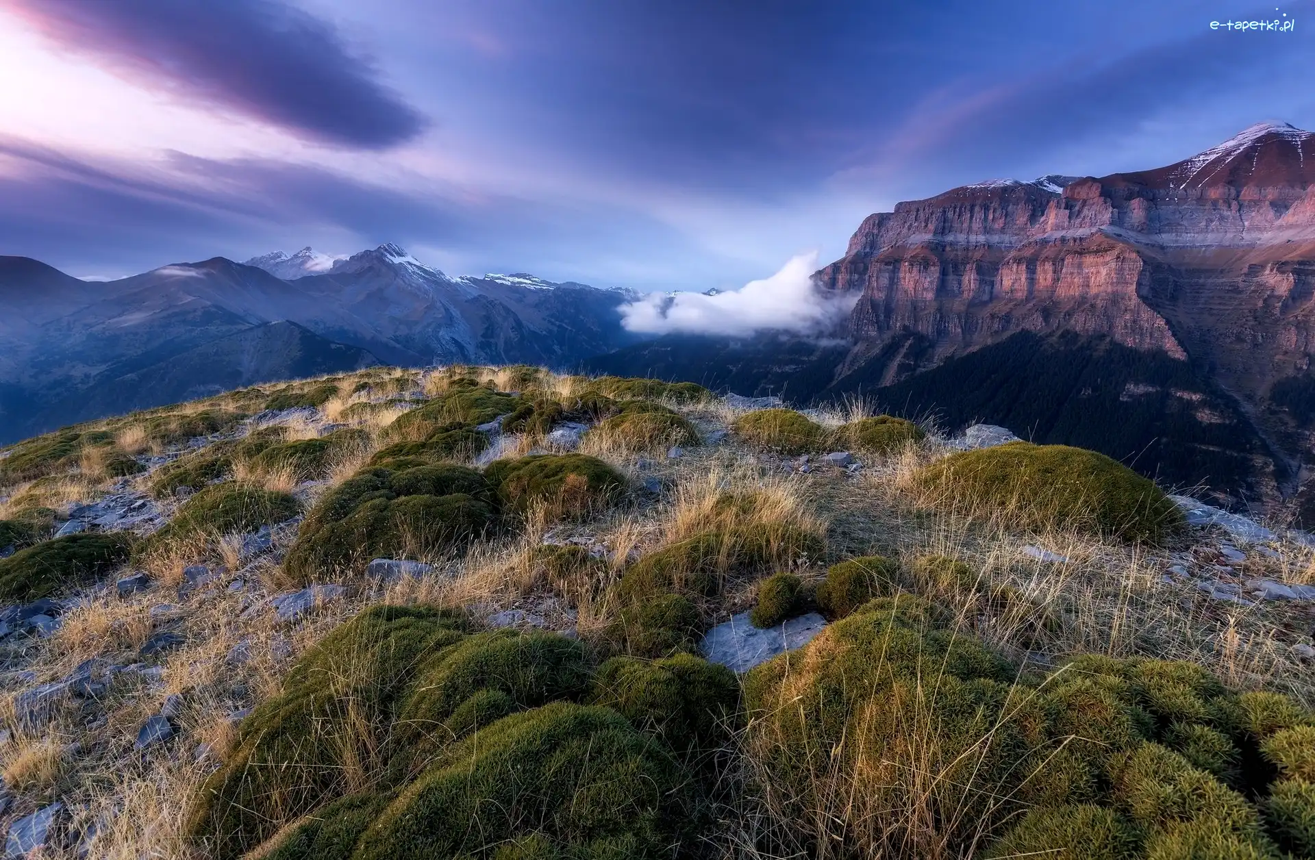Kępki, Kanion de Anisclo, Hiszpania, Trawa, Góry Pireneje, Park Narodowy Ordesa y Monte Perdido