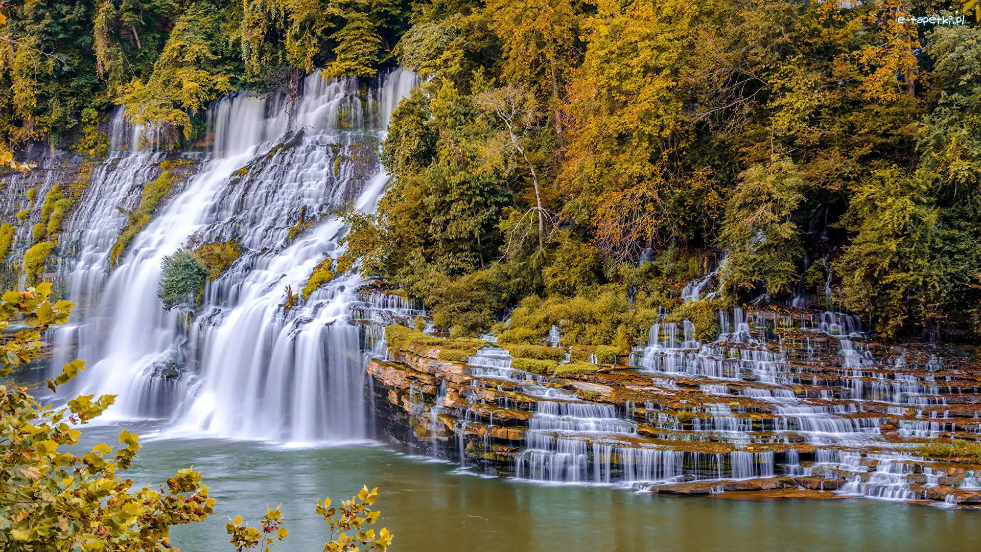 Skały, Stan Tennessee, Stany Zjednoczone, Park stanowy Rock Island State Park, Wodospad Twin Falls, Krzewy, Drzewa