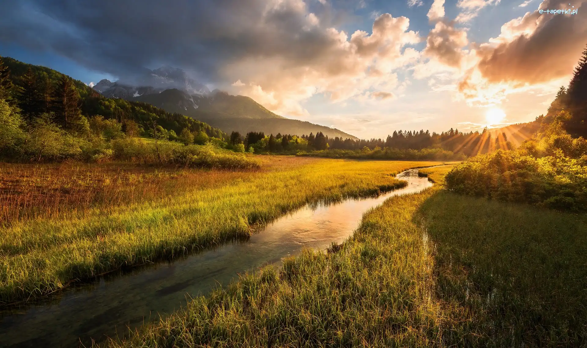 Rezerwat przyrody Zelenci Springs, Kranjska Gora, Drzewa, Łąka, Alpy Julijskie, Zschód słońca, Rzeka, Słowenia