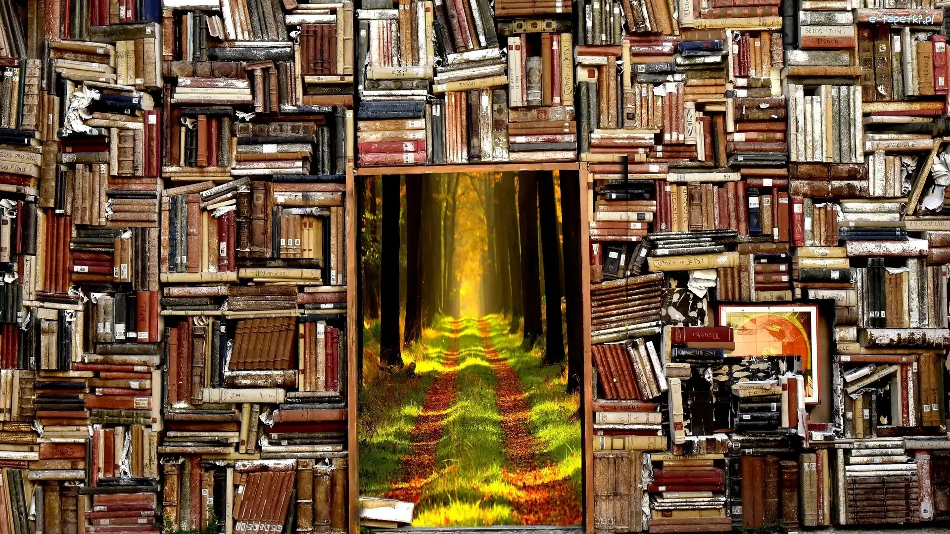 Książki, Las, Okno, Biblioteczka