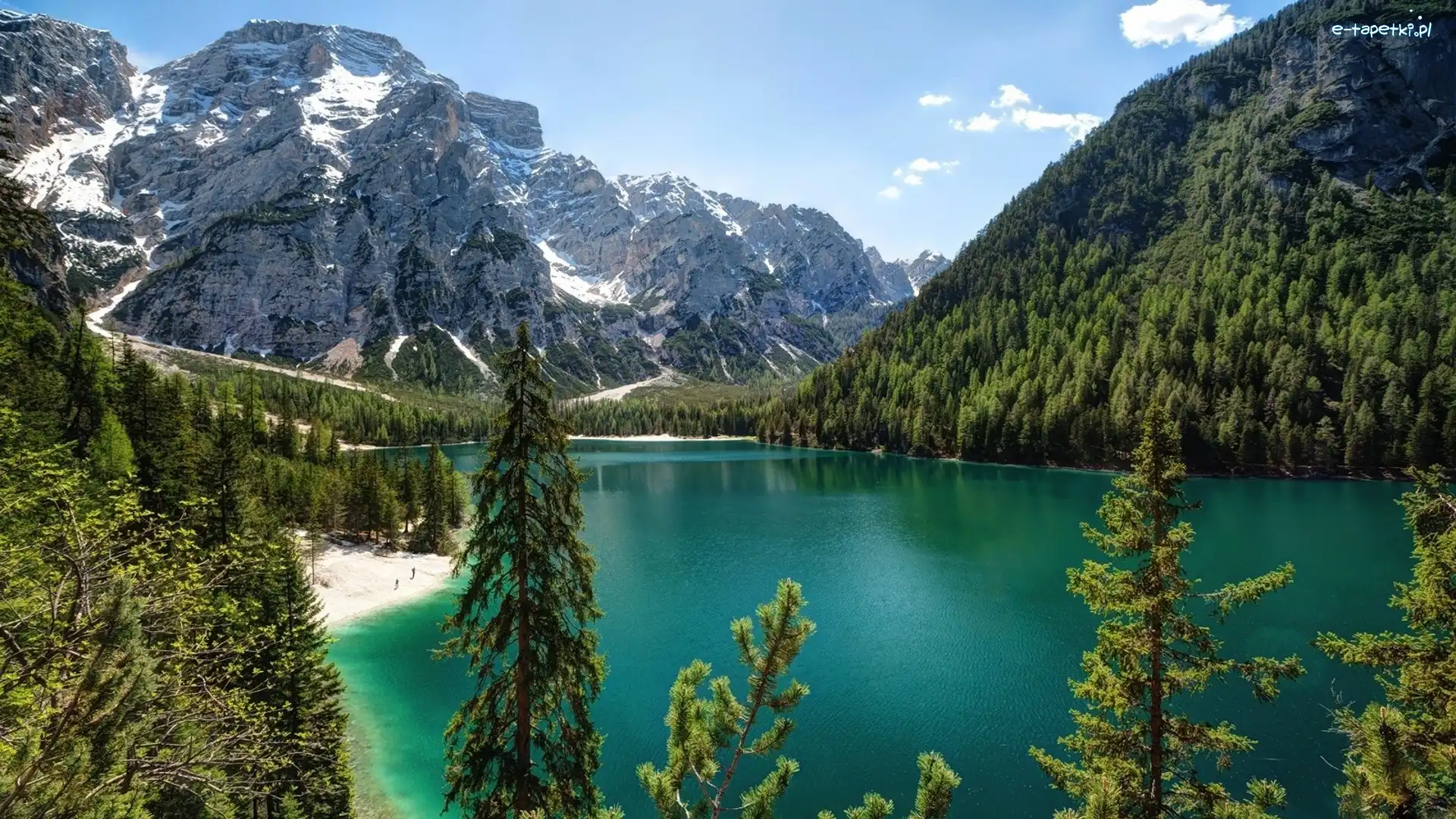 Jezioro Pragser Wildsee, Tyrol Południowy, Góry Dolomity, Drzewa, Włochy