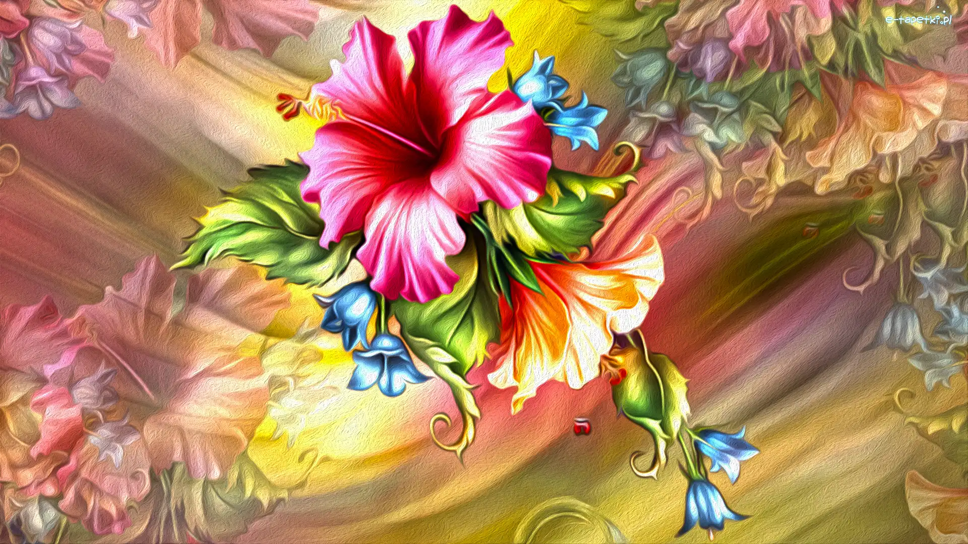 Grafika, Hibiskus, Kwiat